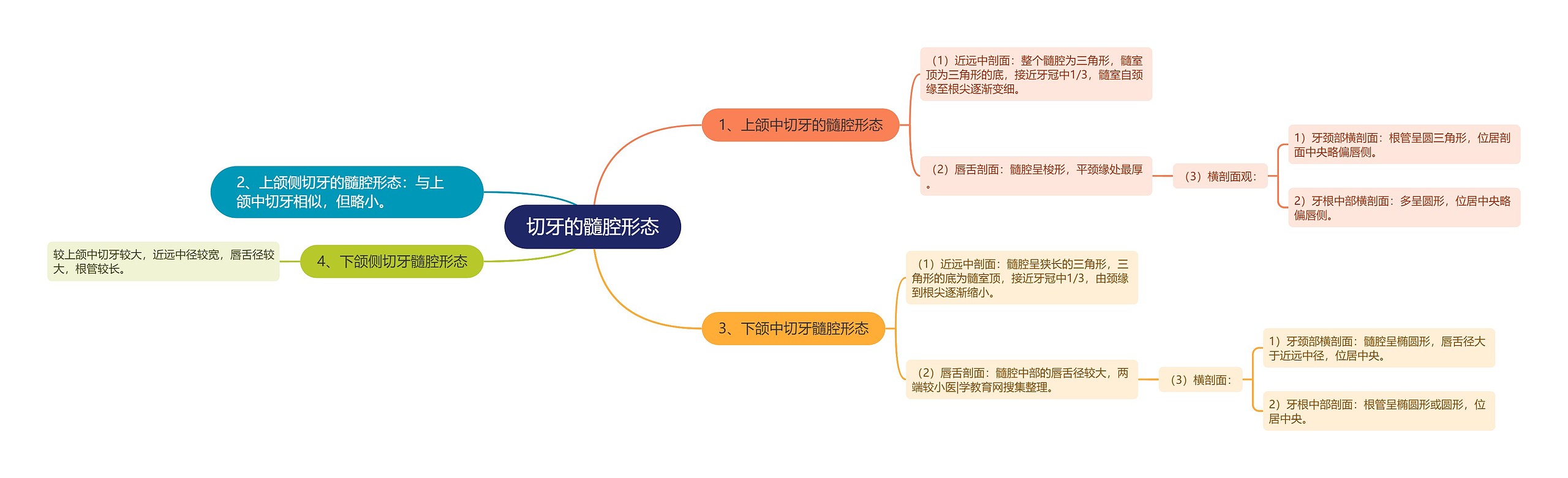 切牙的髓腔形态思维导图