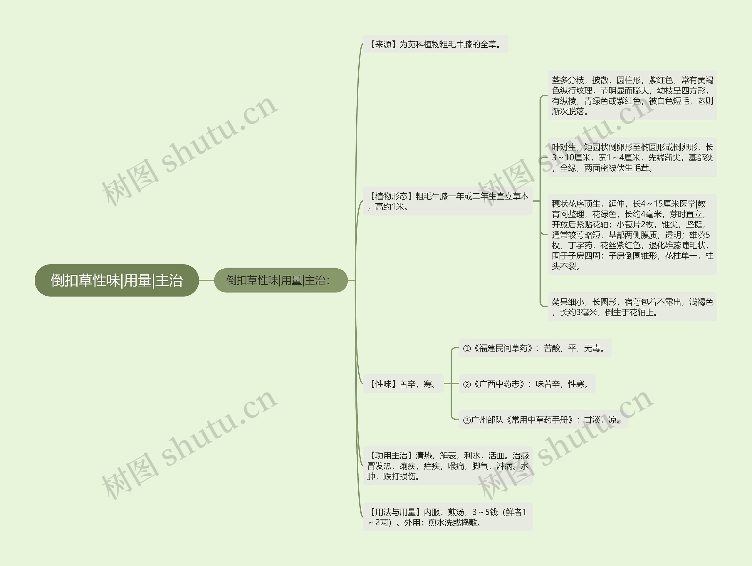 倒扣草性味|用量|主治思维导图