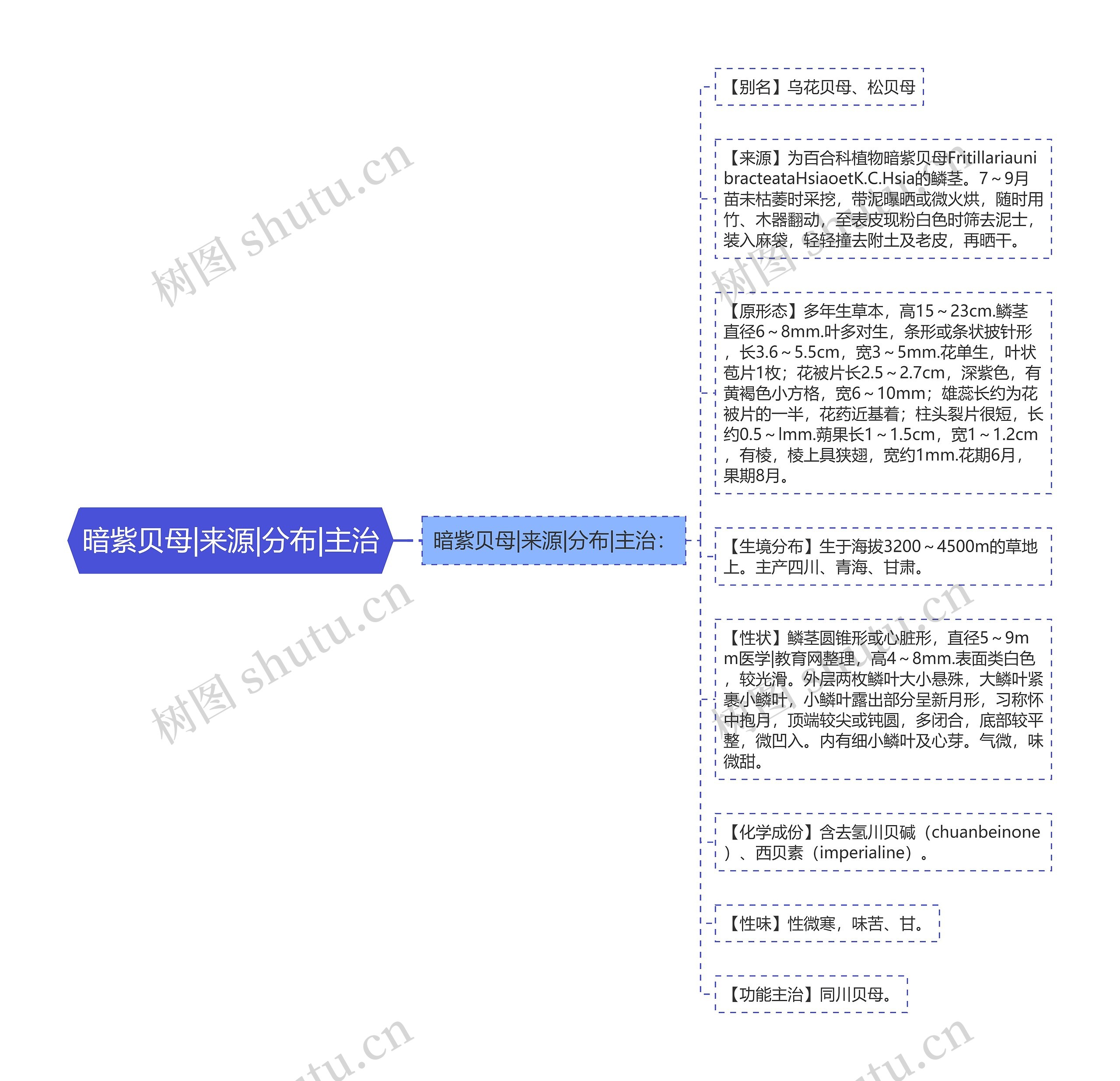 暗紫贝母|来源|分布|主治