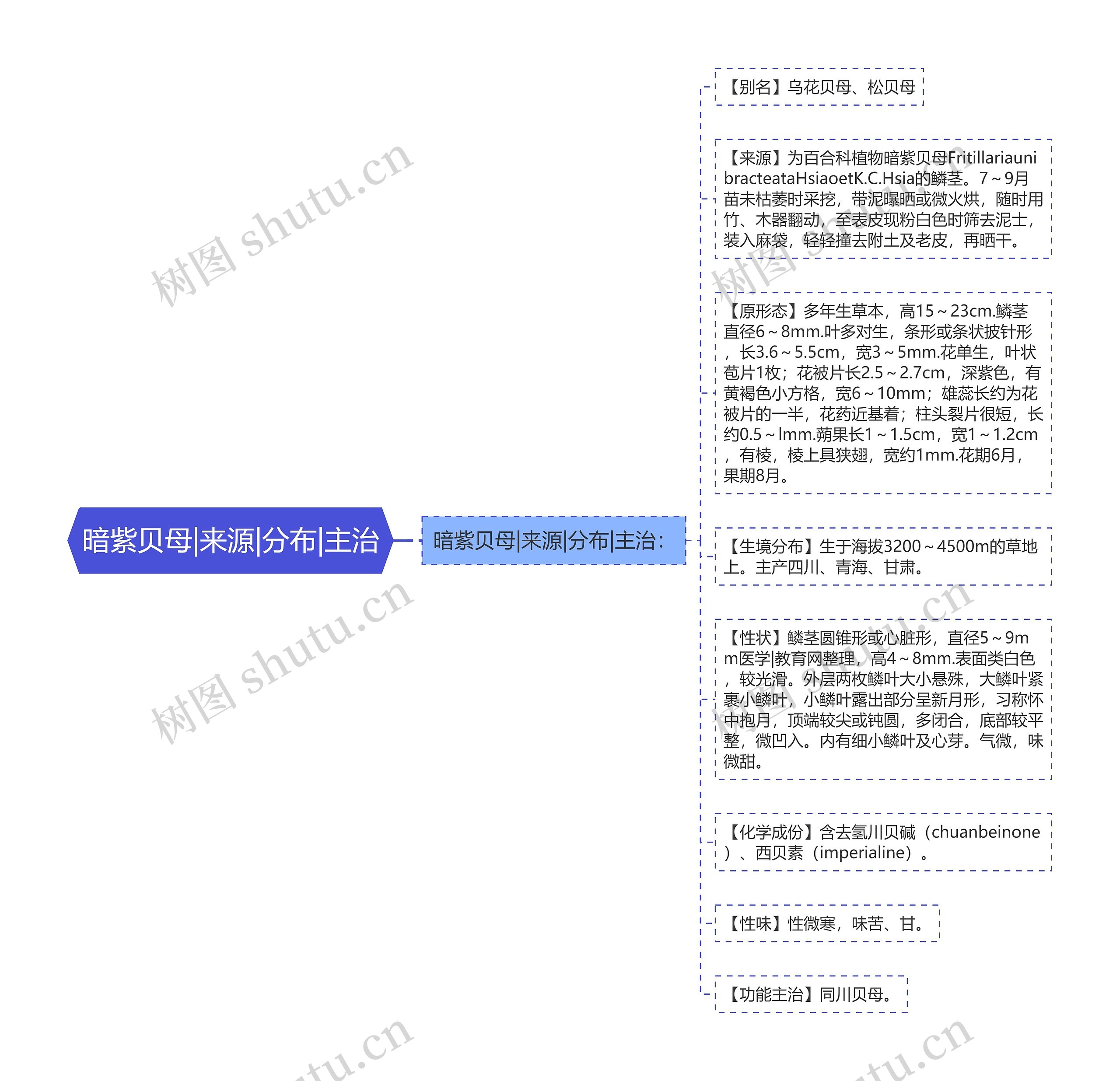 暗紫贝母|来源|分布|主治思维导图