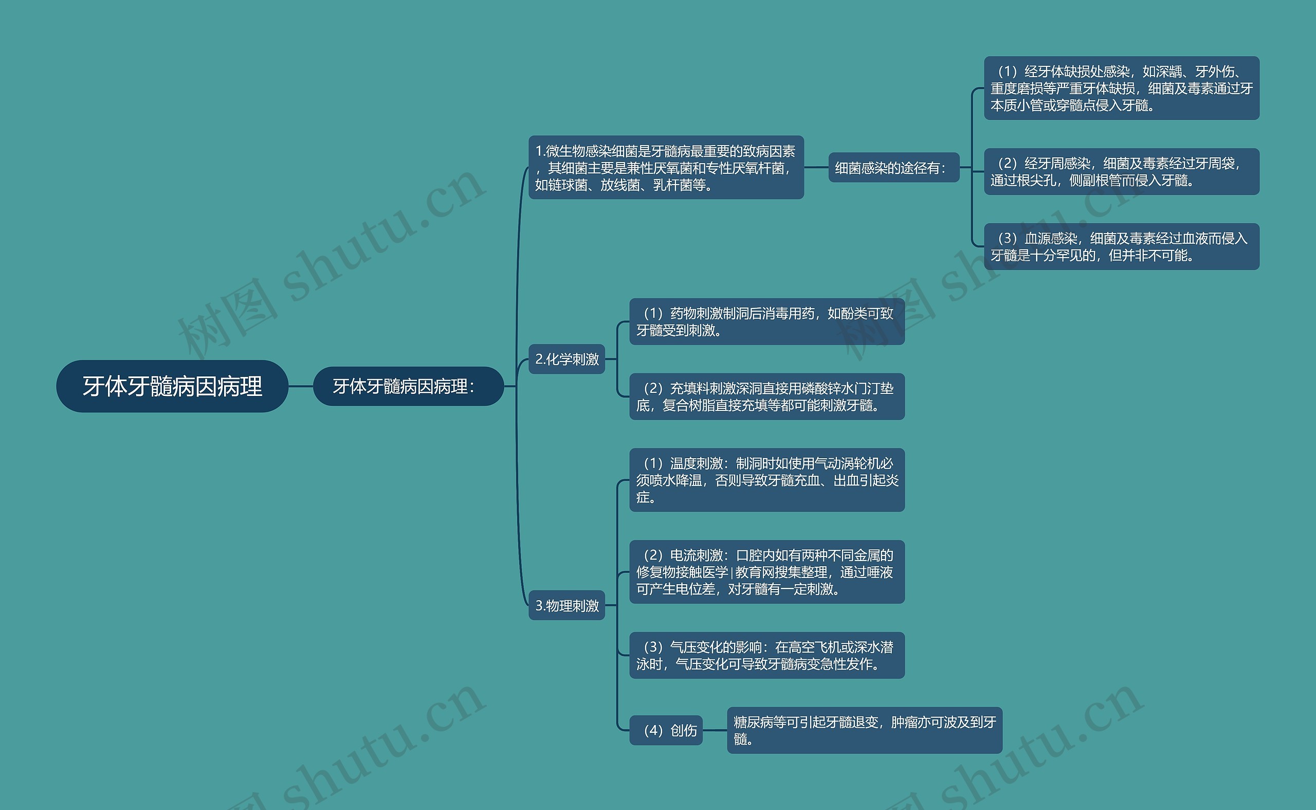 牙体牙髓病因病理 牙体牙髓病因病理