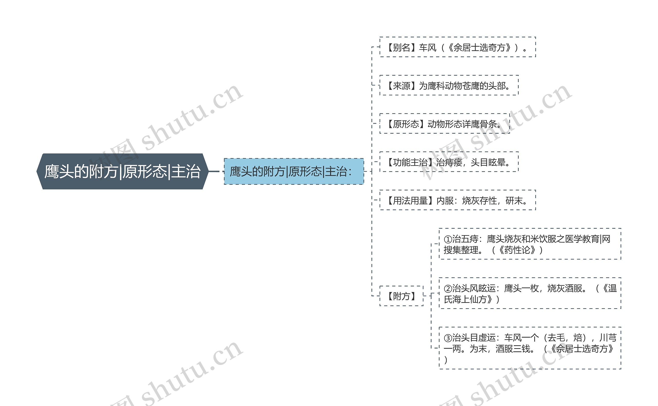 鹰头的附方|原形态|主治思维导图