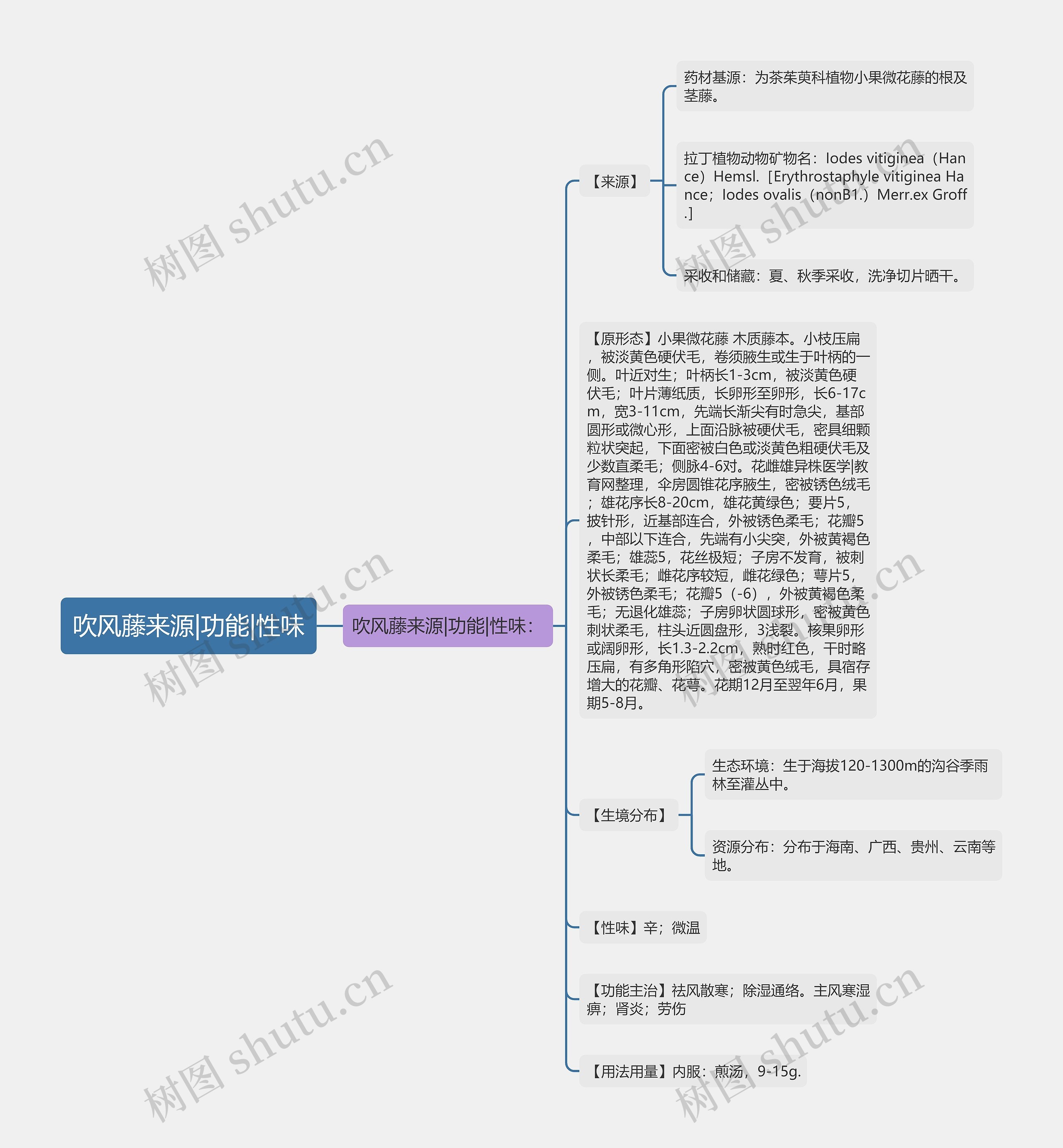 吹风藤来源|功能|性味思维导图