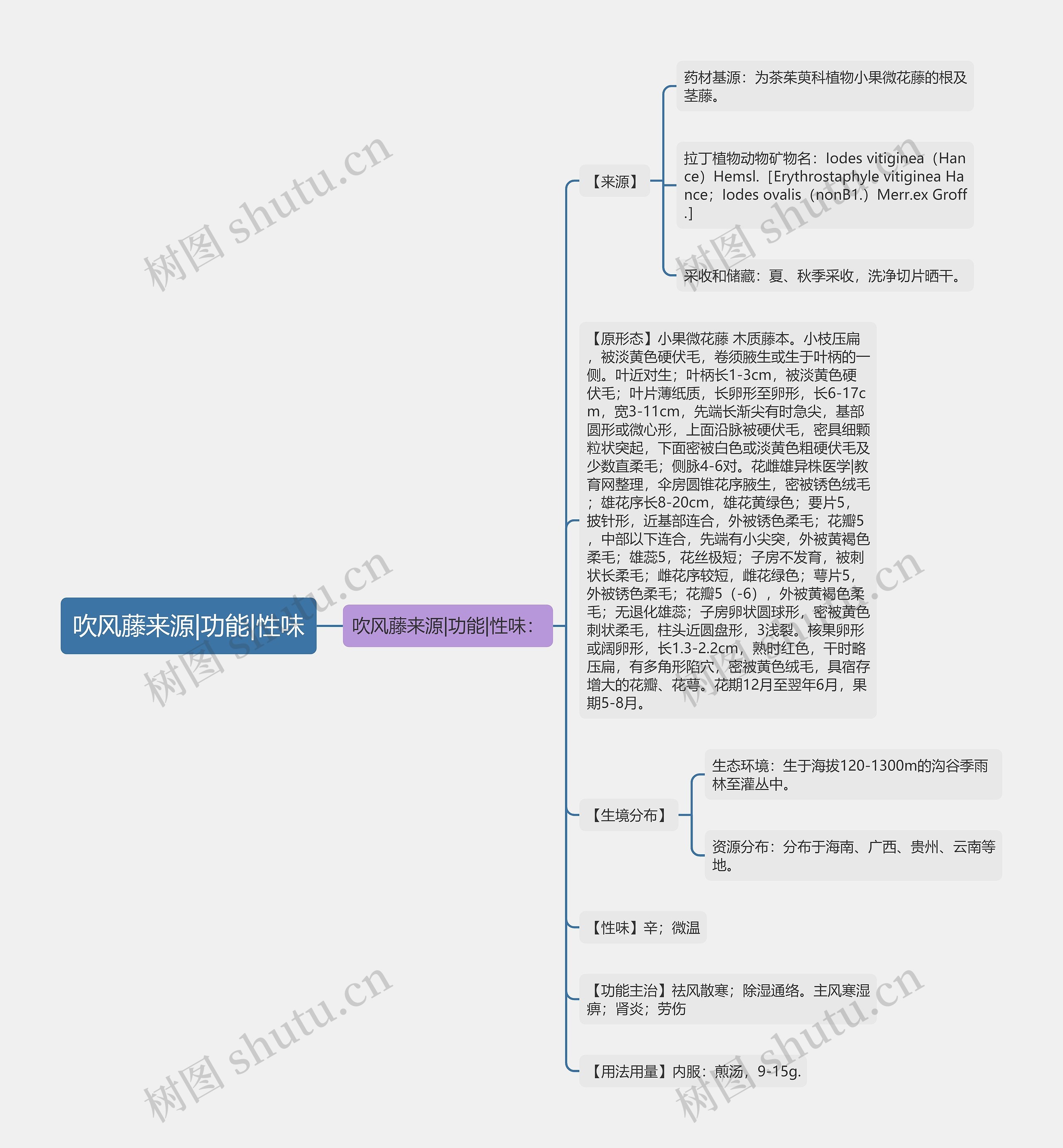 吹风藤来源|功能|性味 吹风藤来源|功能|性味