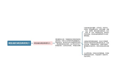 畸胎瘤的病因病理简介