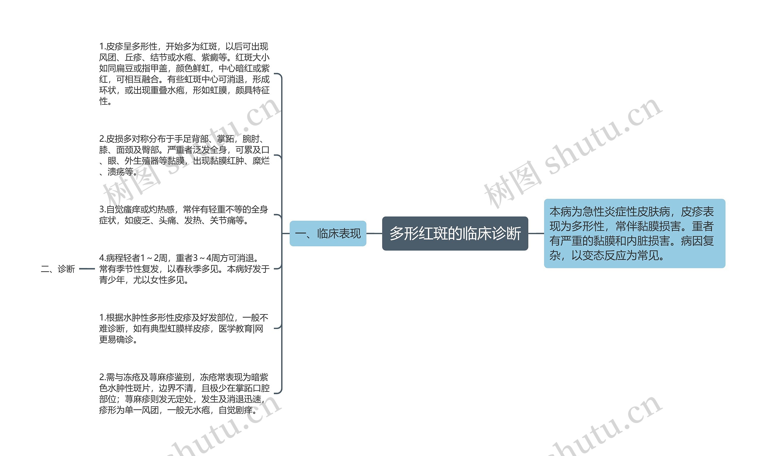 多形红斑的临床诊断思维导图