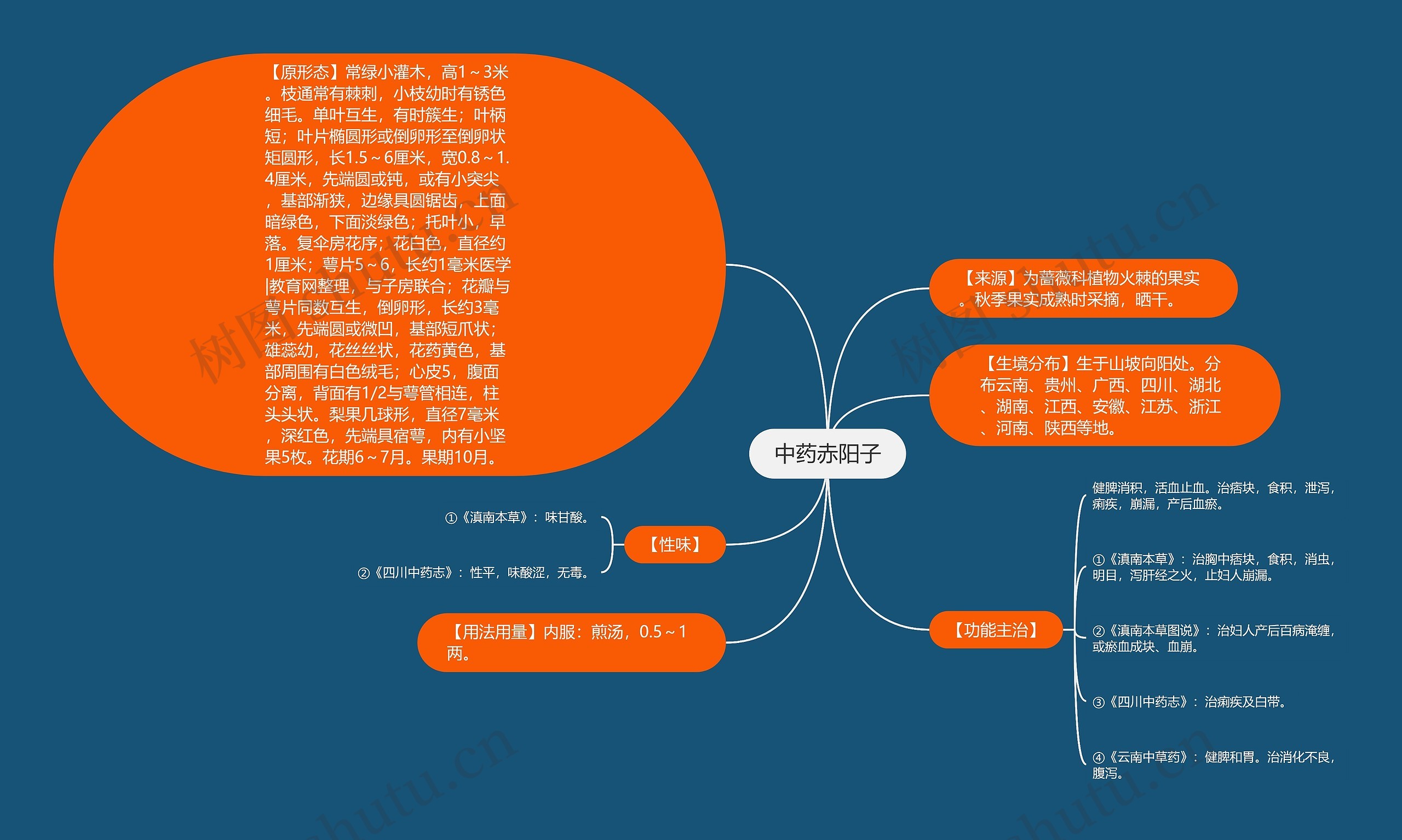 中药赤阳子思维导图