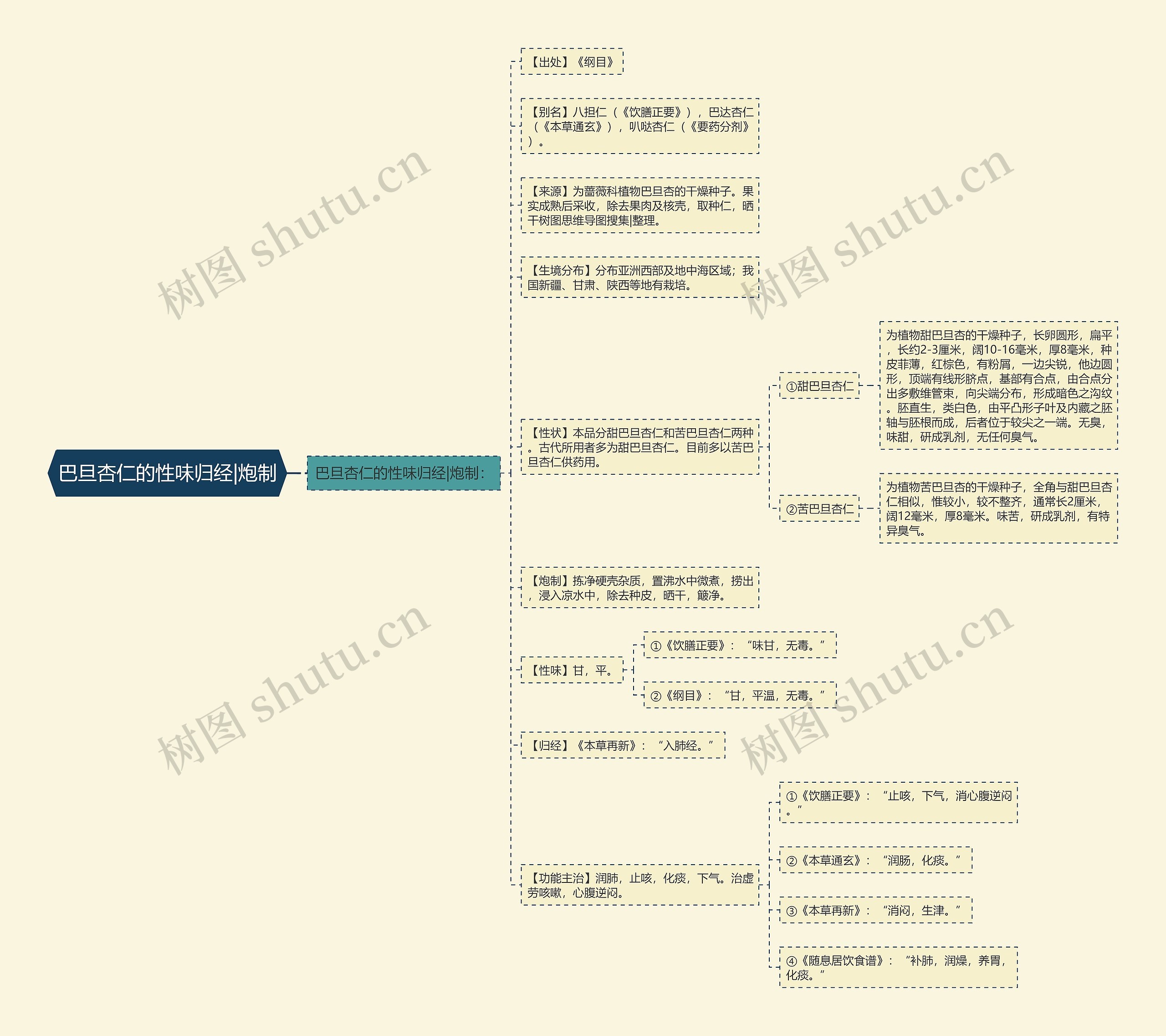 巴旦杏仁的性味归经|炮制思维导图