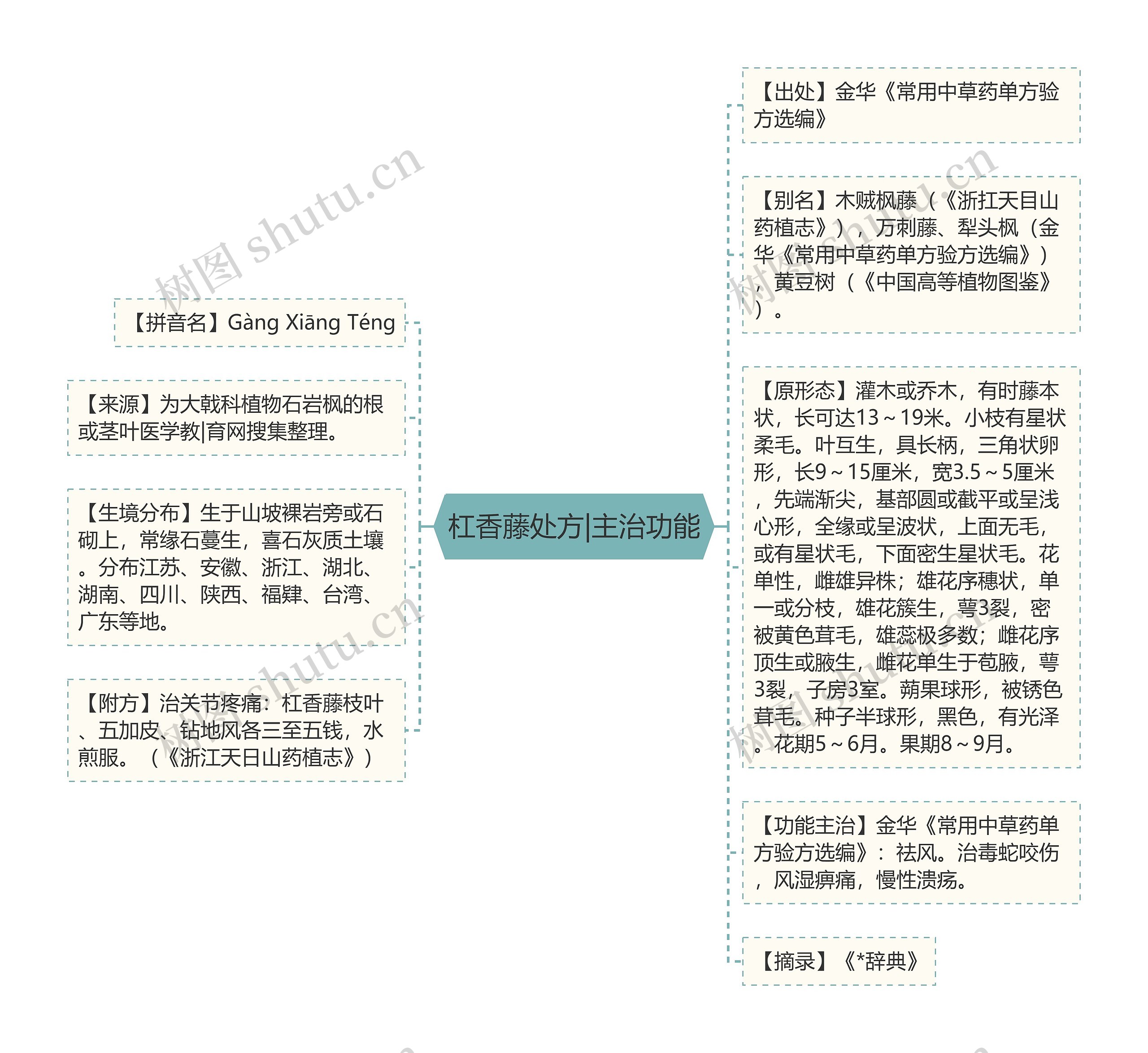 杠香藤处方|主治功能思维导图