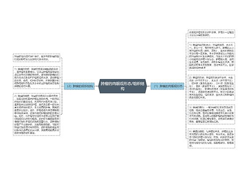 肿瘤的肉眼观形态/组织结构