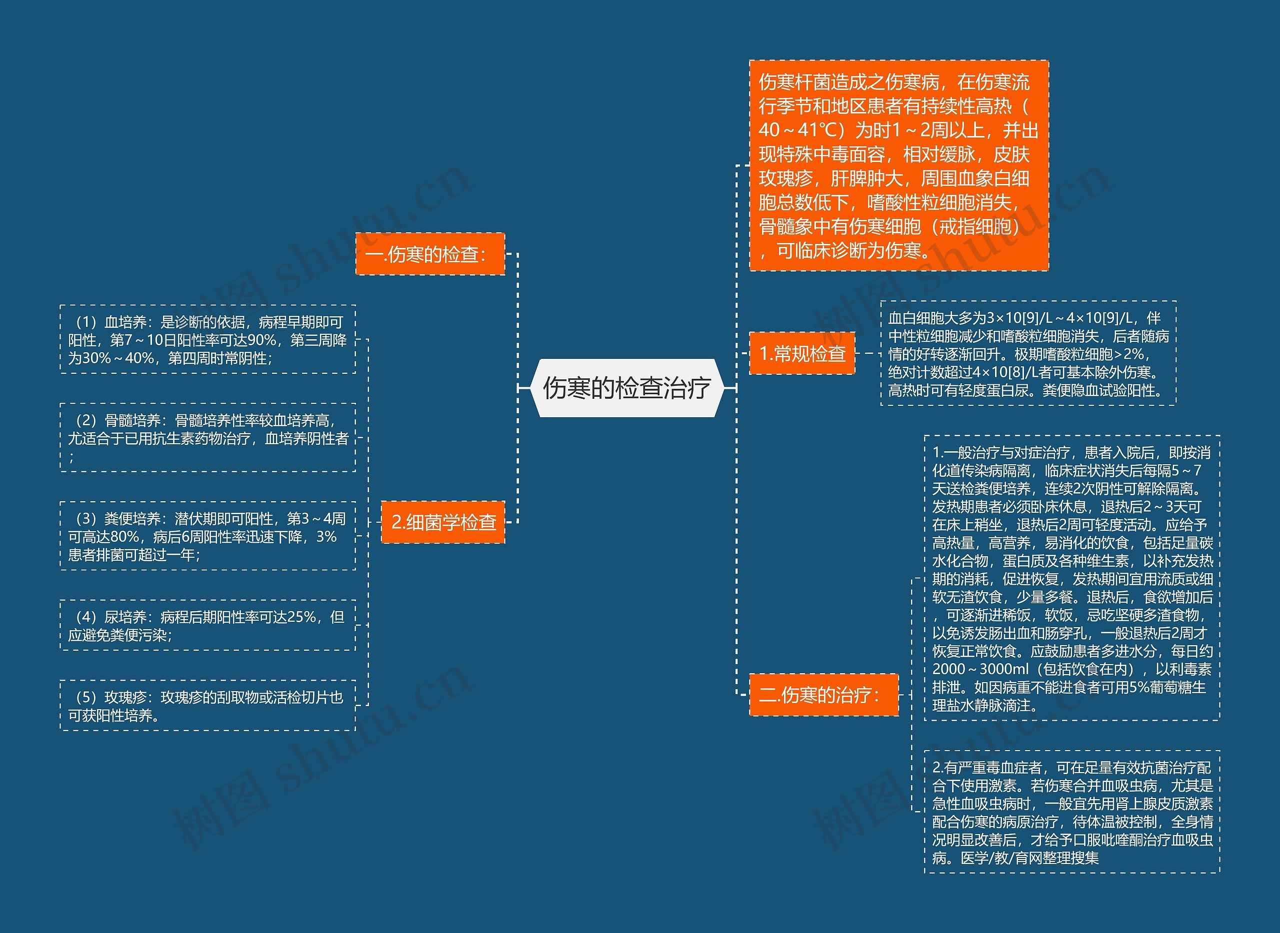 伤寒的检查治疗 伤寒的检查治疗
