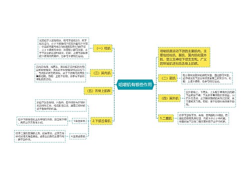 咀嚼肌有哪些作用