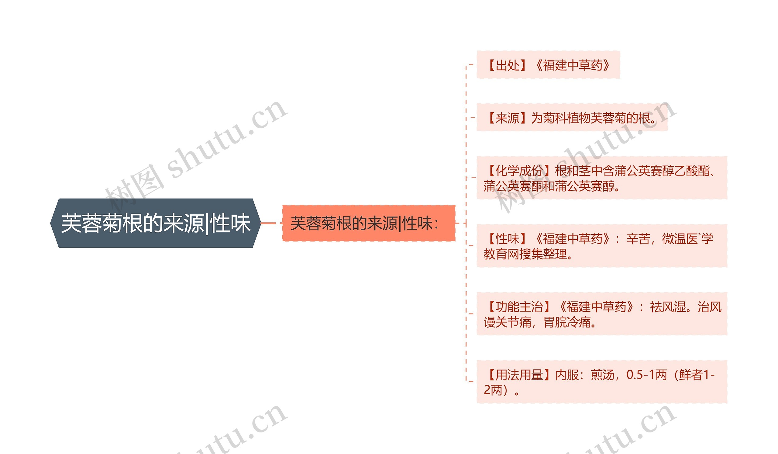 芙蓉菊根的来源|性味思维导图