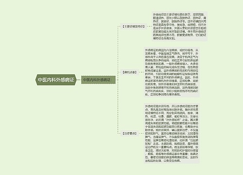 中医内科外感病证