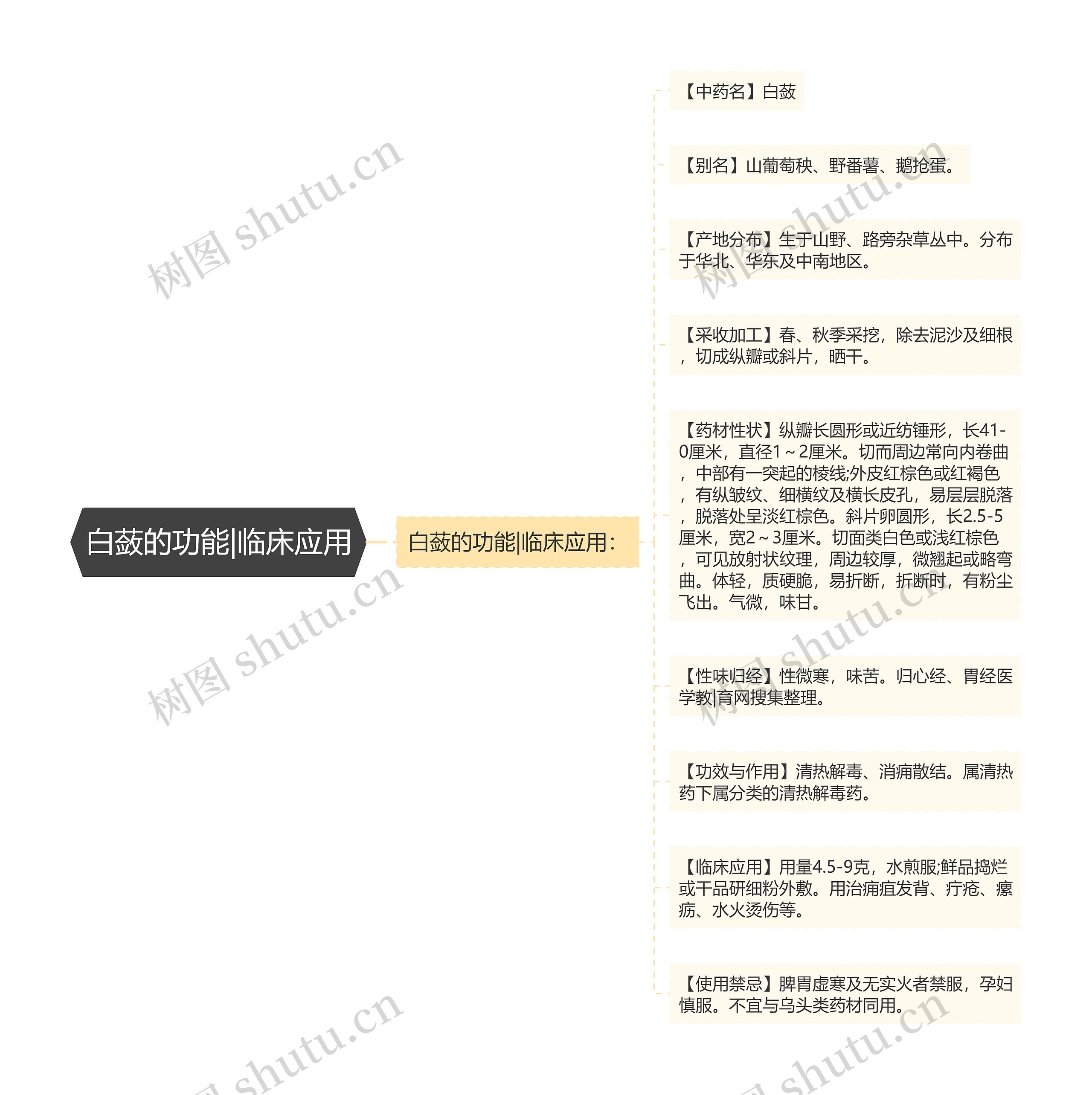 白蔹的功能|临床应用