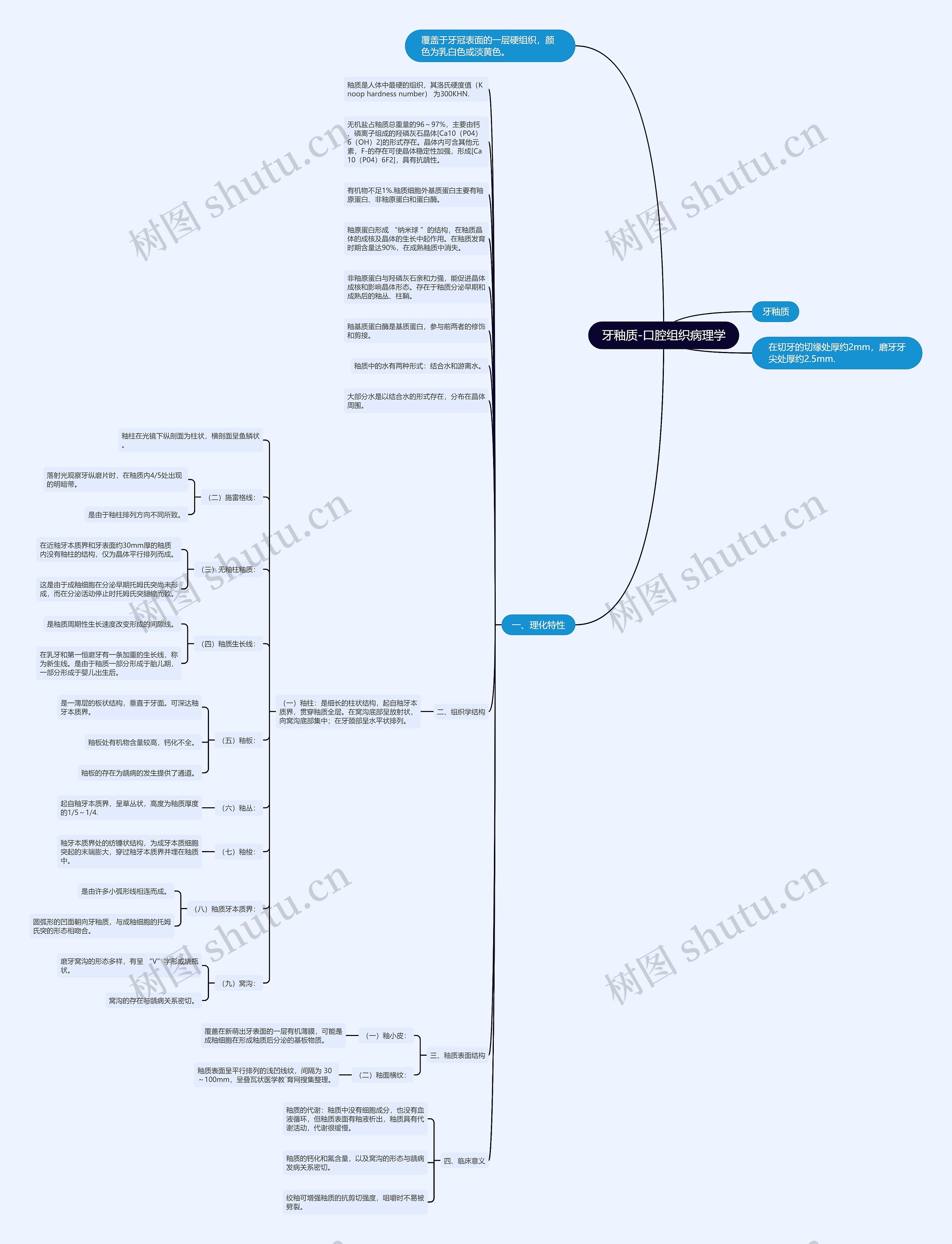 牙釉质-口腔组织病理学 牙釉质-口腔组织病理学