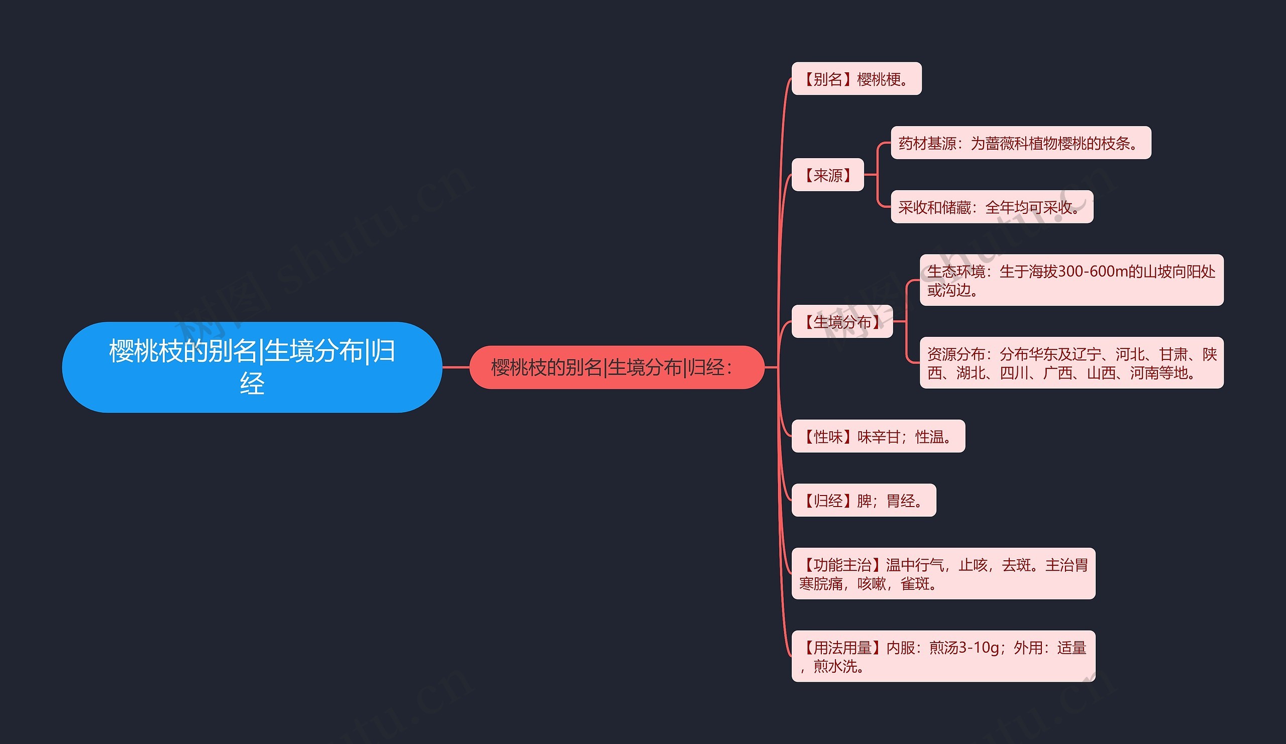 樱桃枝的别名|生境分布|归经思维导图