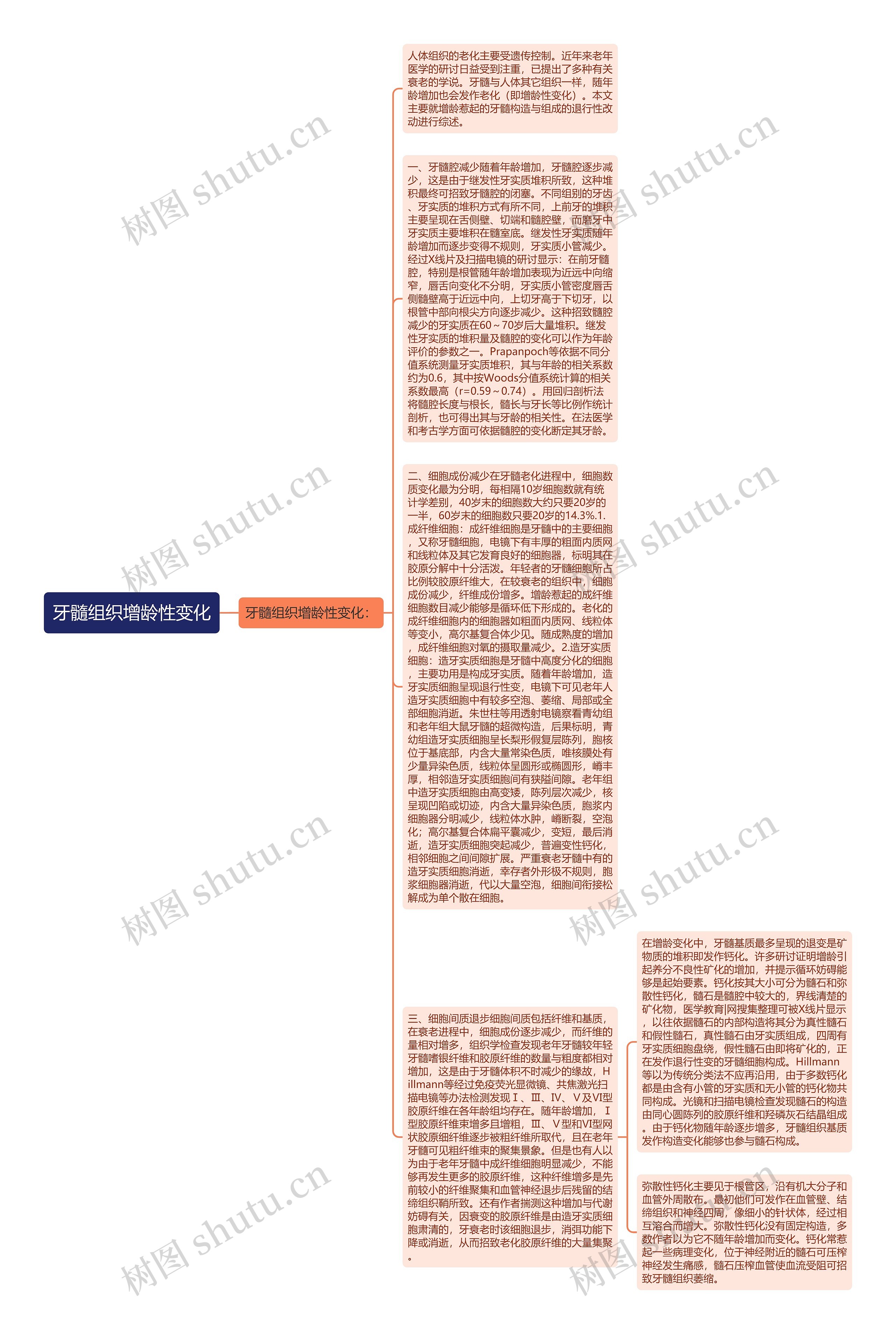 牙髓组织增龄性变化思维导图