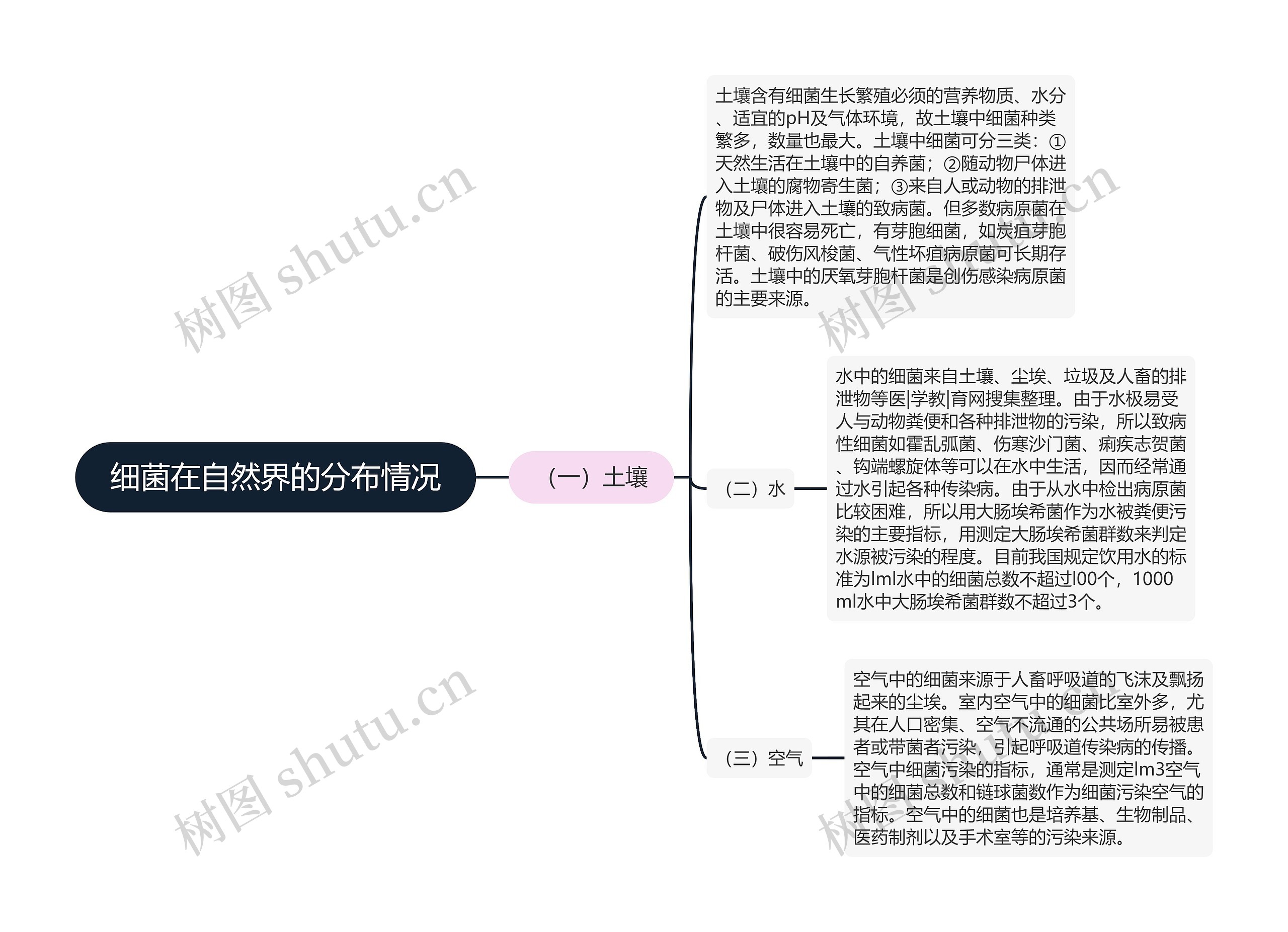 细菌在自然界的分布情况思维导图