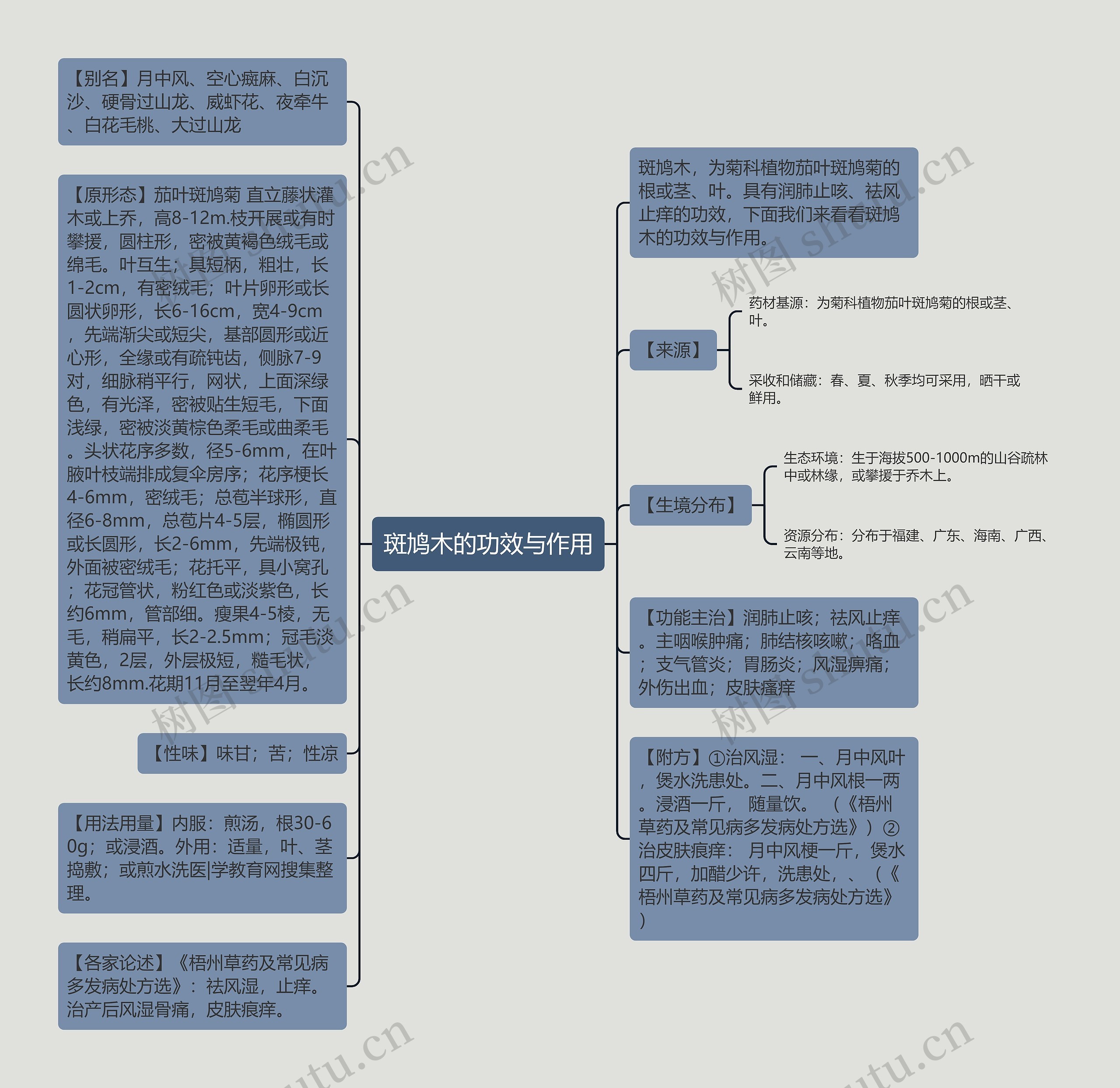 斑鸠木的功效与作用思维导图