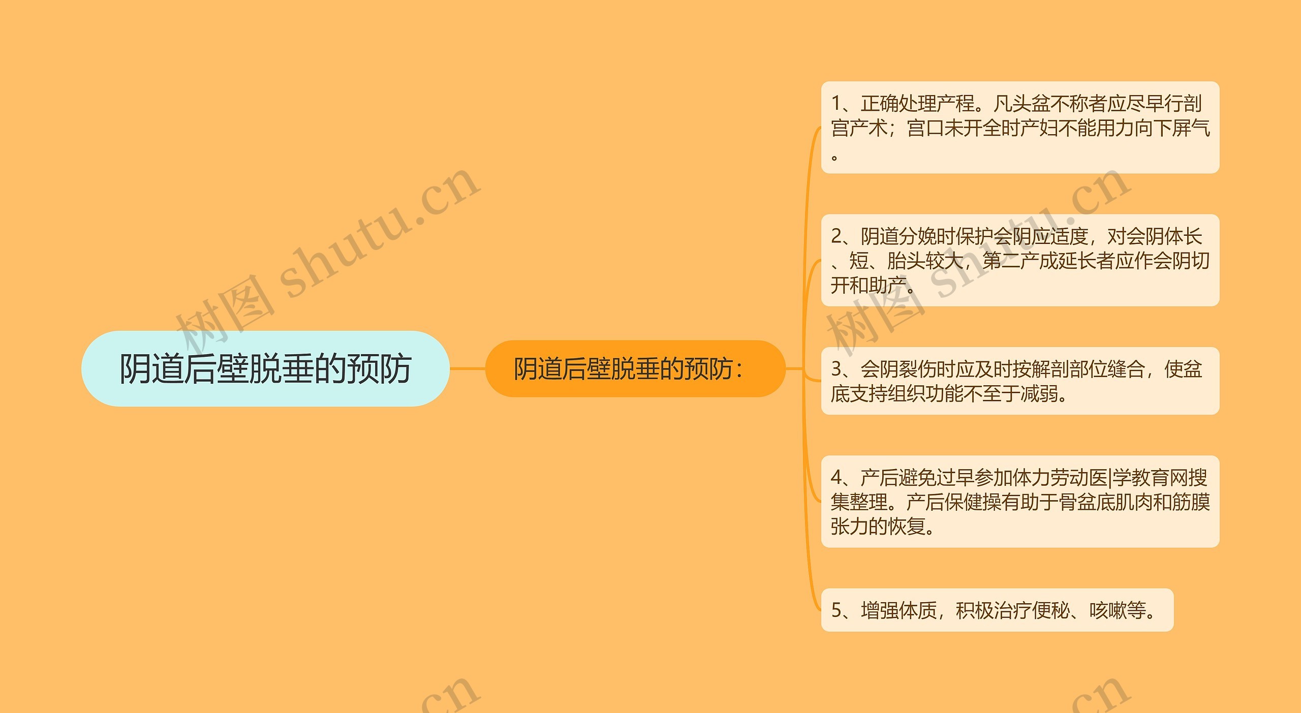 阴道后壁脱垂的预防 阴道后壁脱垂的预防