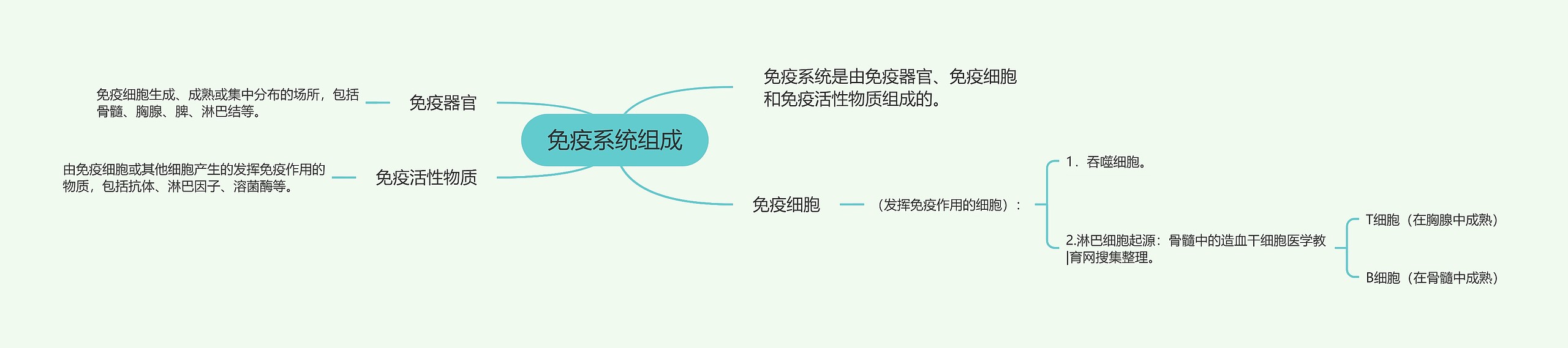 免疫系统组成 免疫系统组成