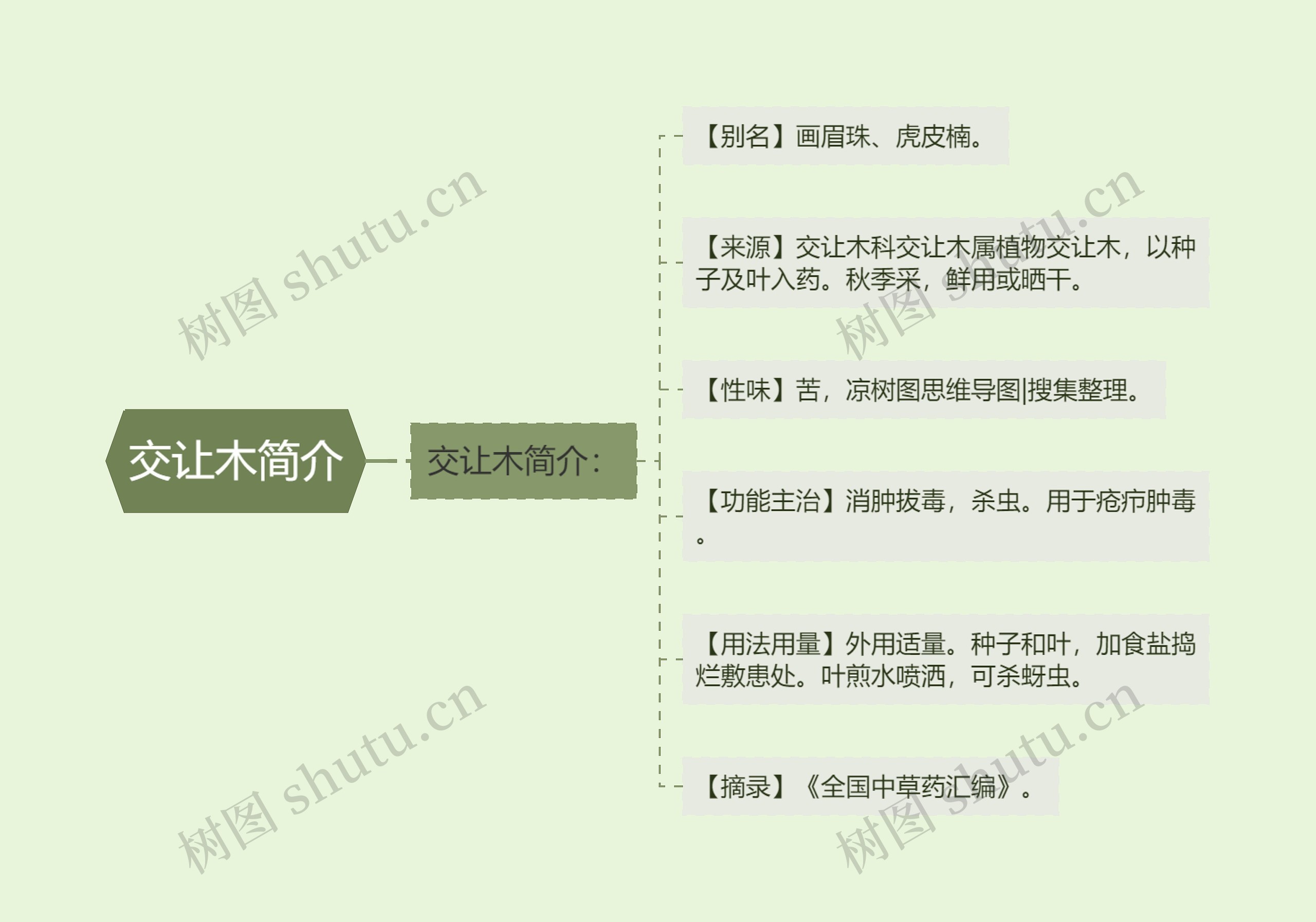 交让木简介思维导图