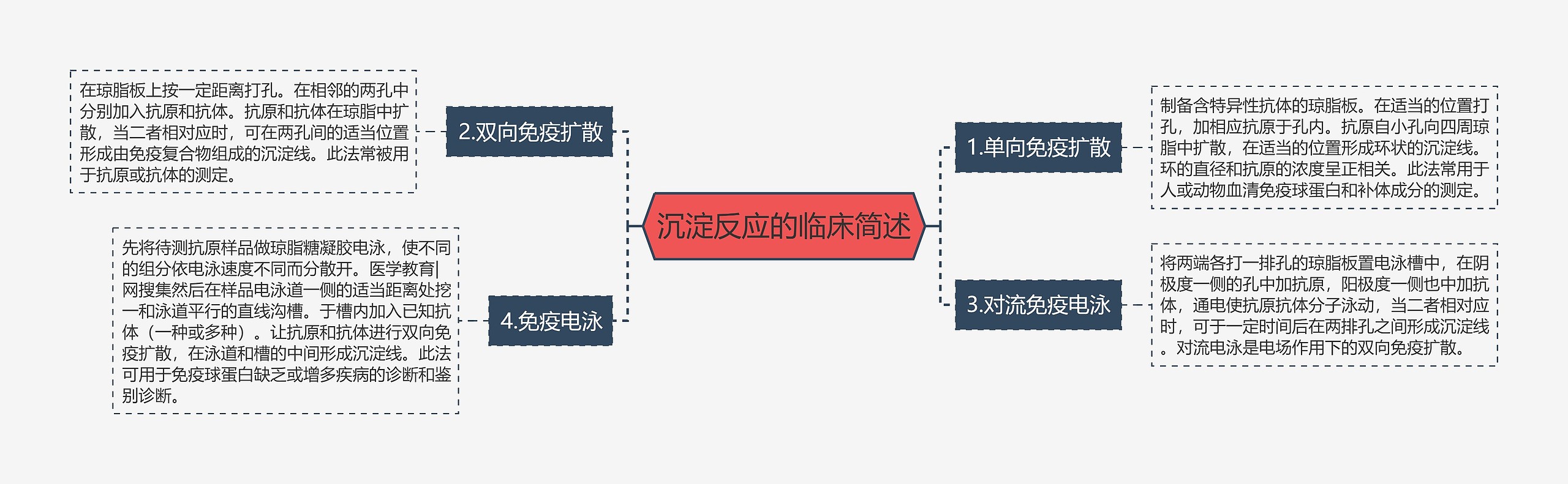 沉淀反应的临床简述思维导图