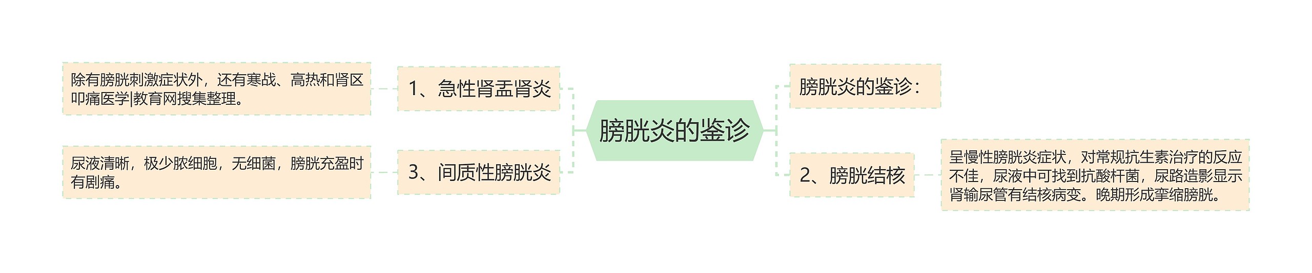 膀胱炎的鉴诊思维导图