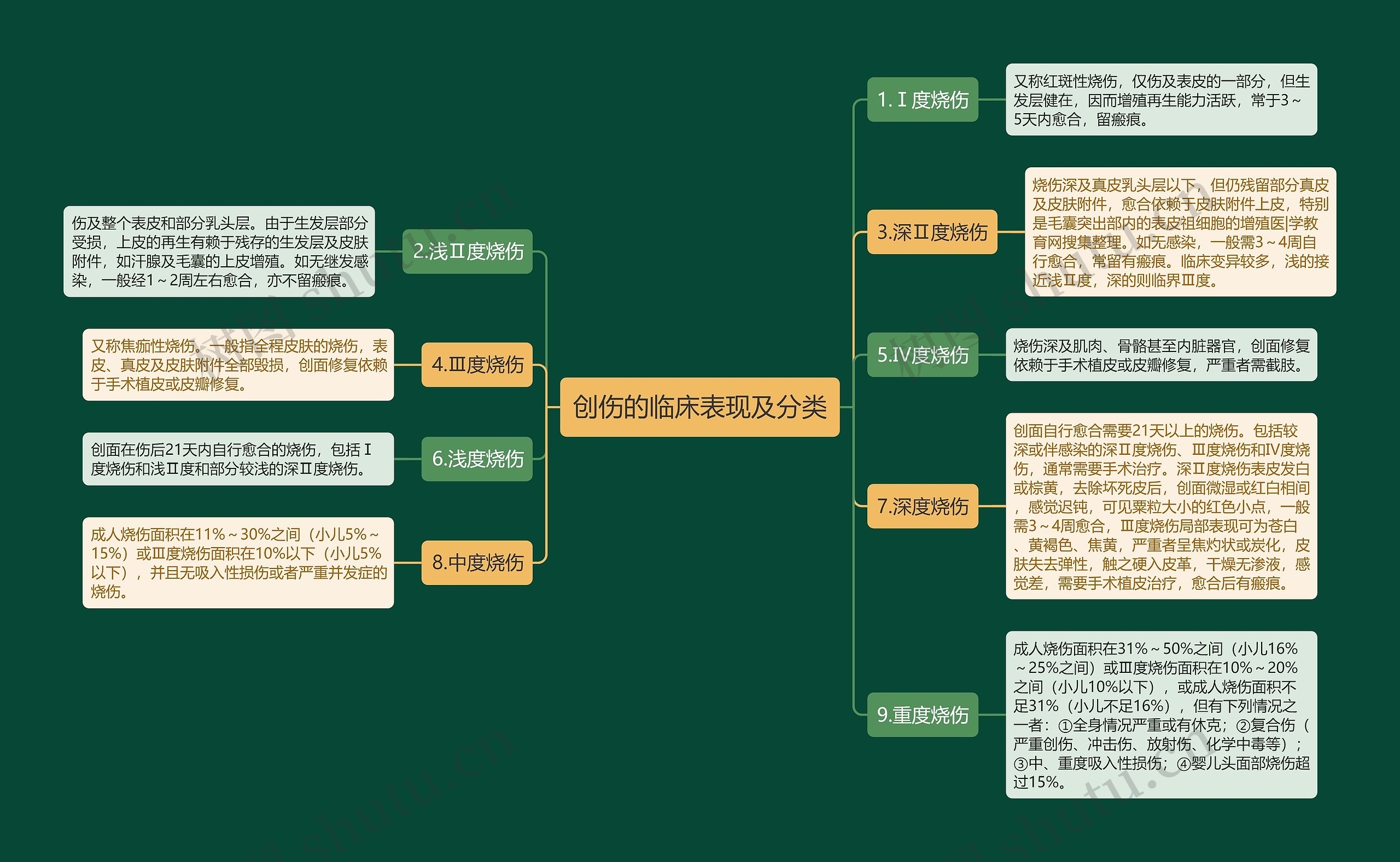 创伤的临床表现及分类思维导图