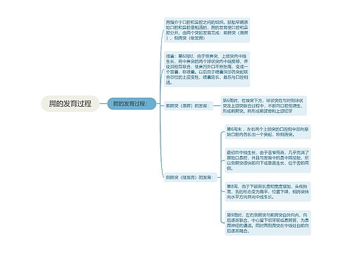 腭的发育过程