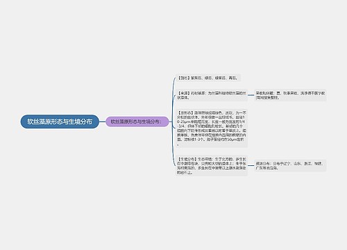 软丝藻原形态与生境分布