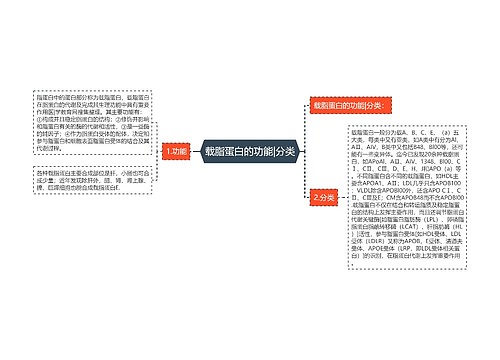 载脂蛋白的功能|分类