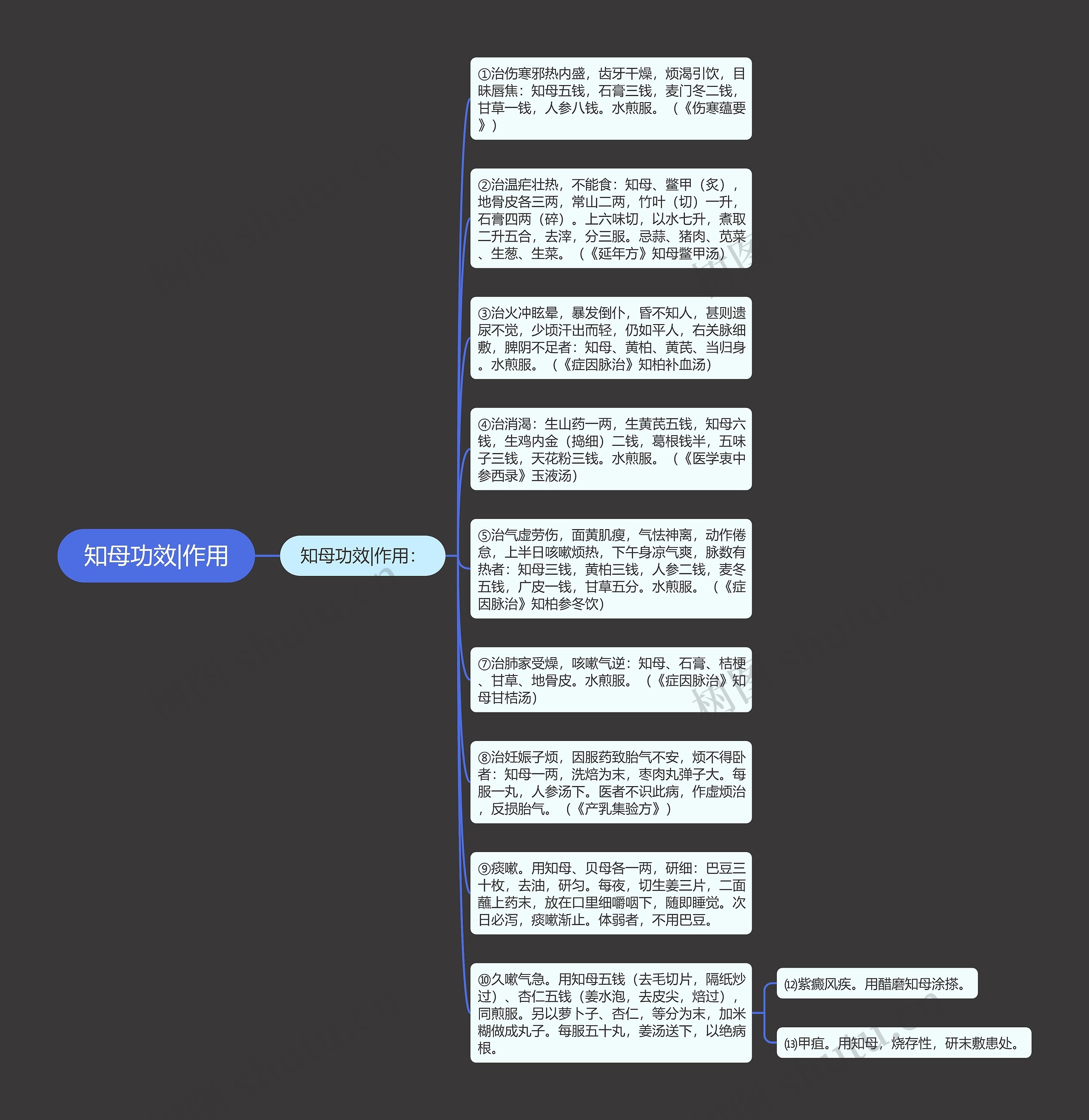 知母功效|作用思维导图