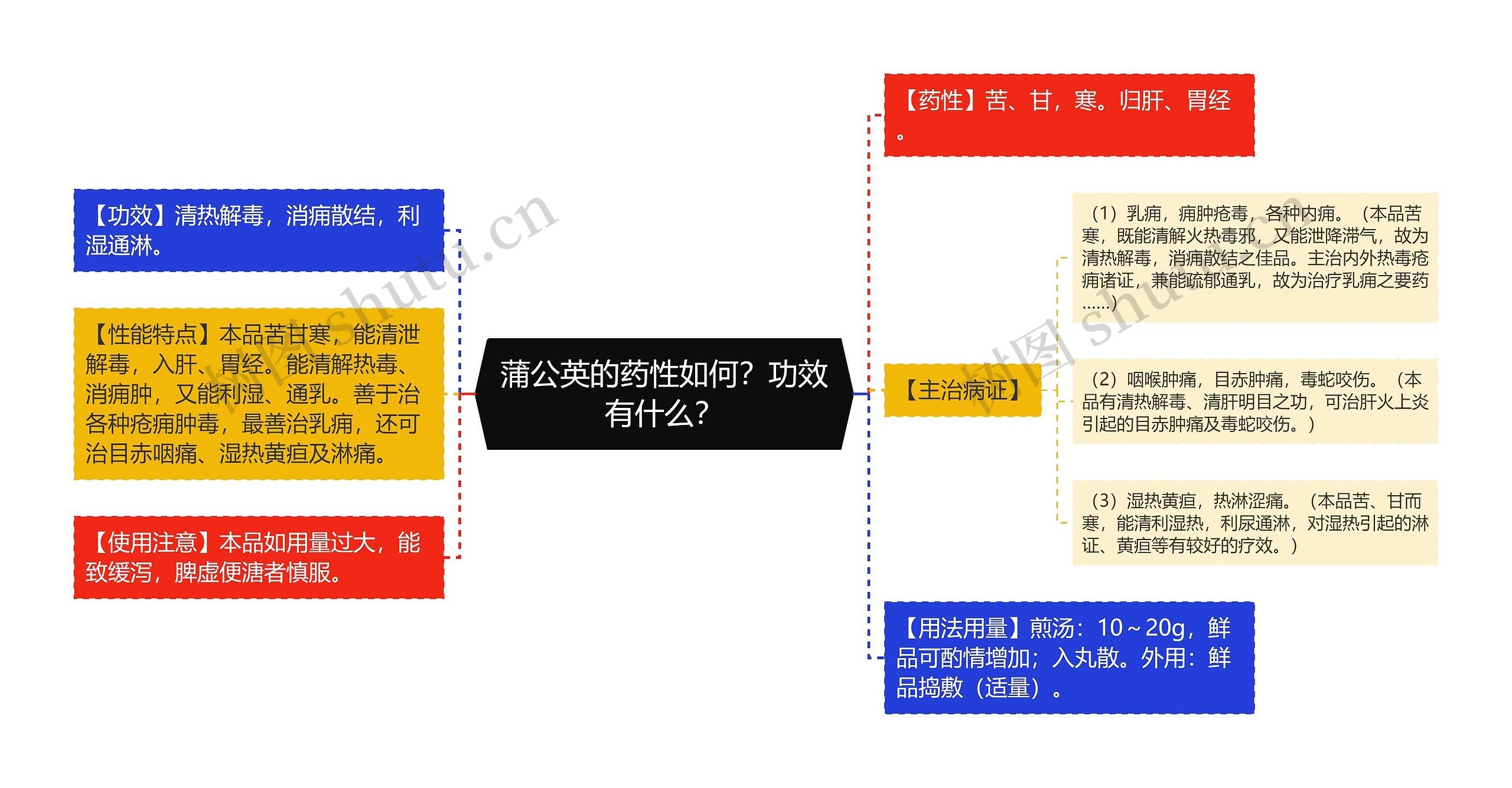 蒲公英的药性如何？功效有什么？思维导图