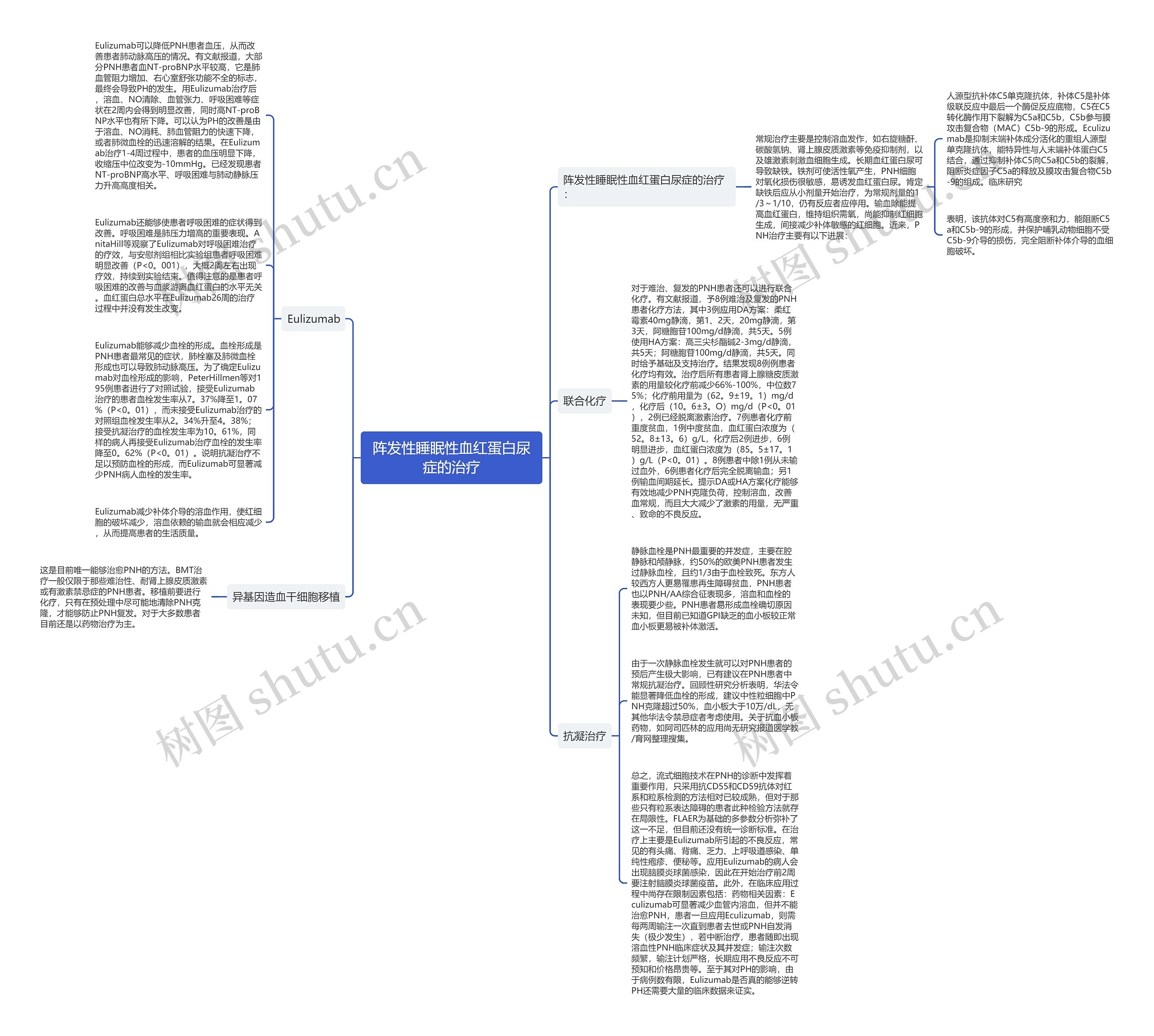 阵发性睡眠性血红蛋白尿症的治疗思维导图