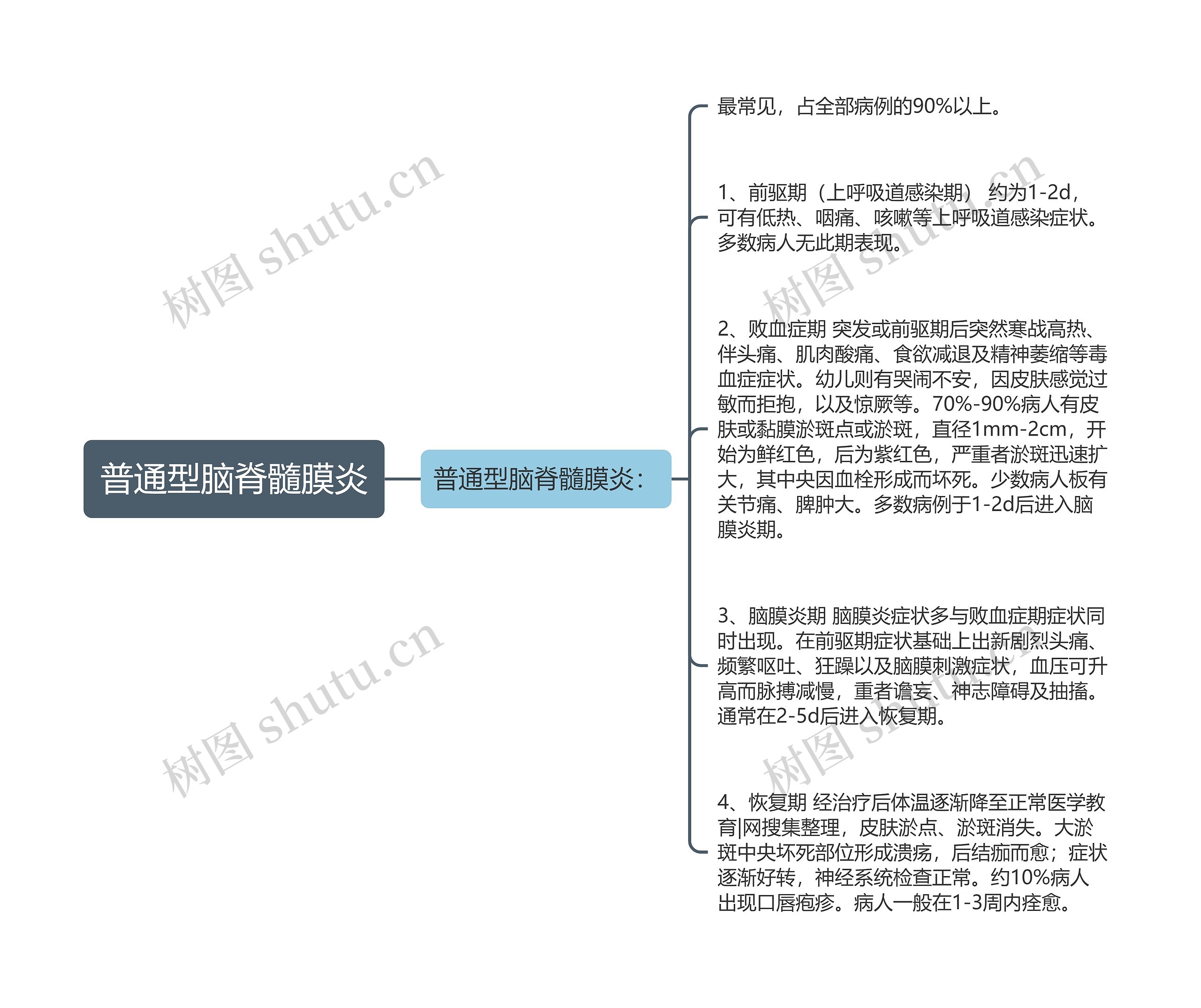 普通型脑脊髓膜炎思维导图