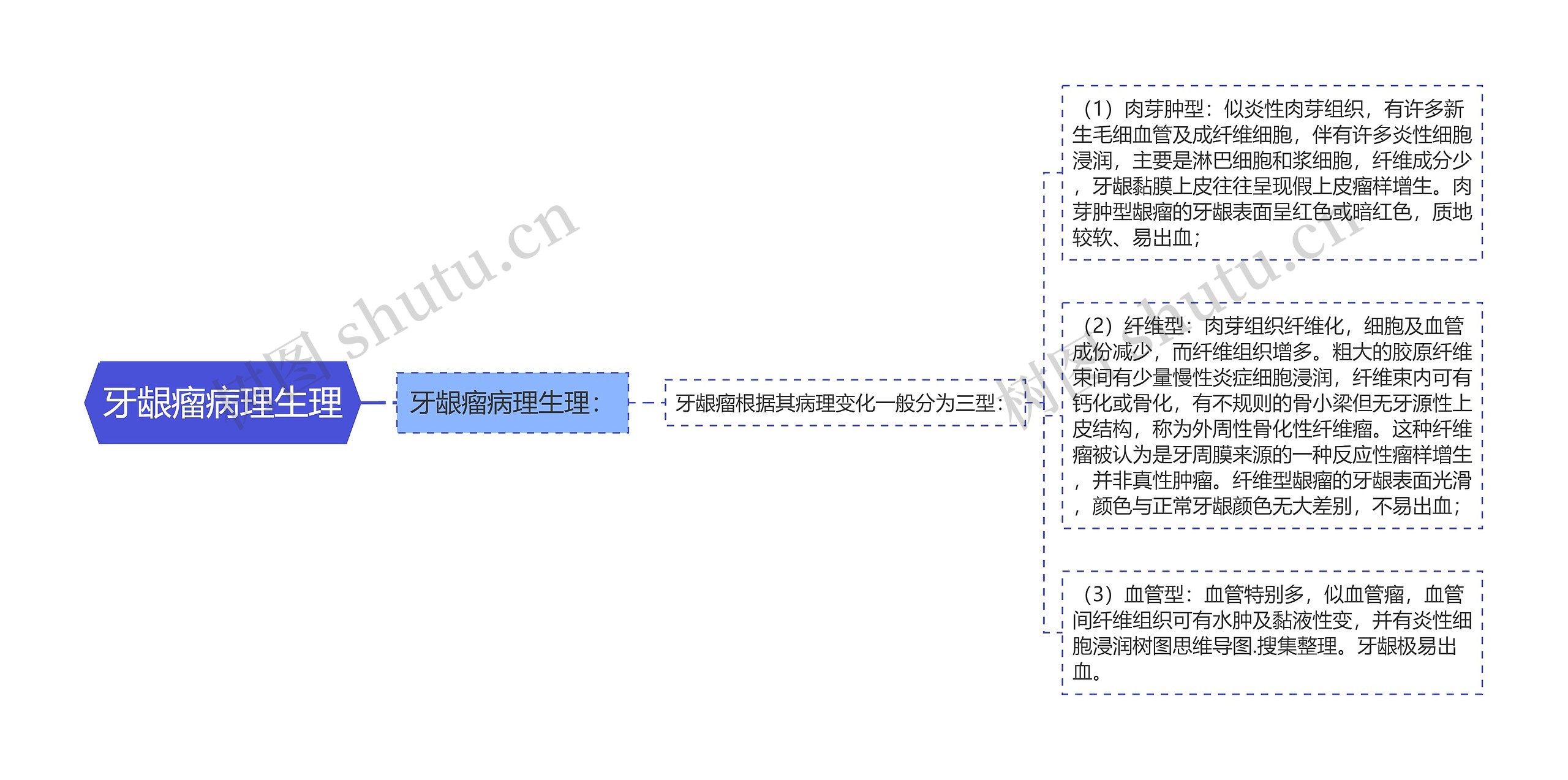 牙龈瘤病理生理