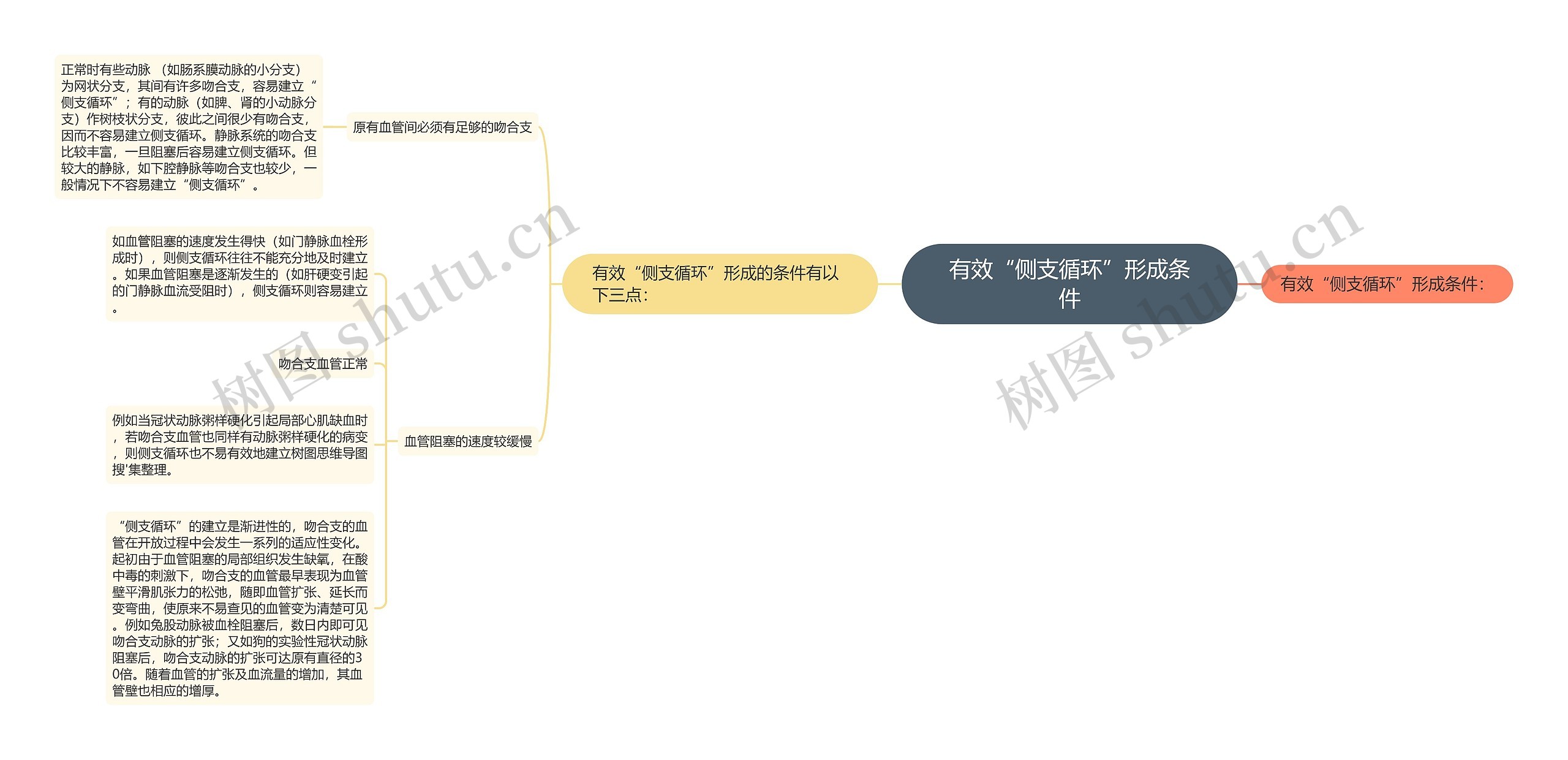 有效“侧支循环”形成条件思维导图