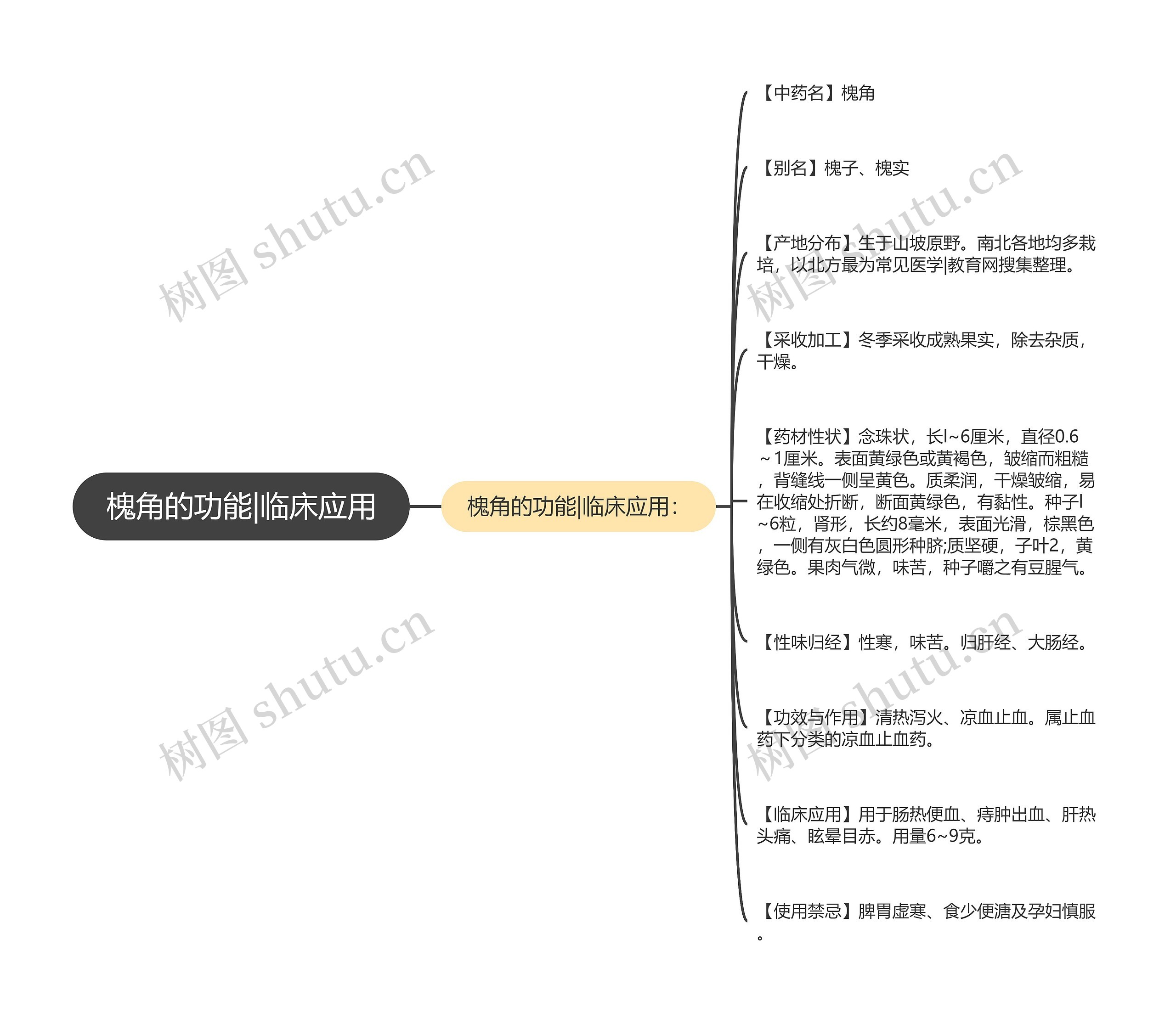 槐角的功能|临床应用思维导图