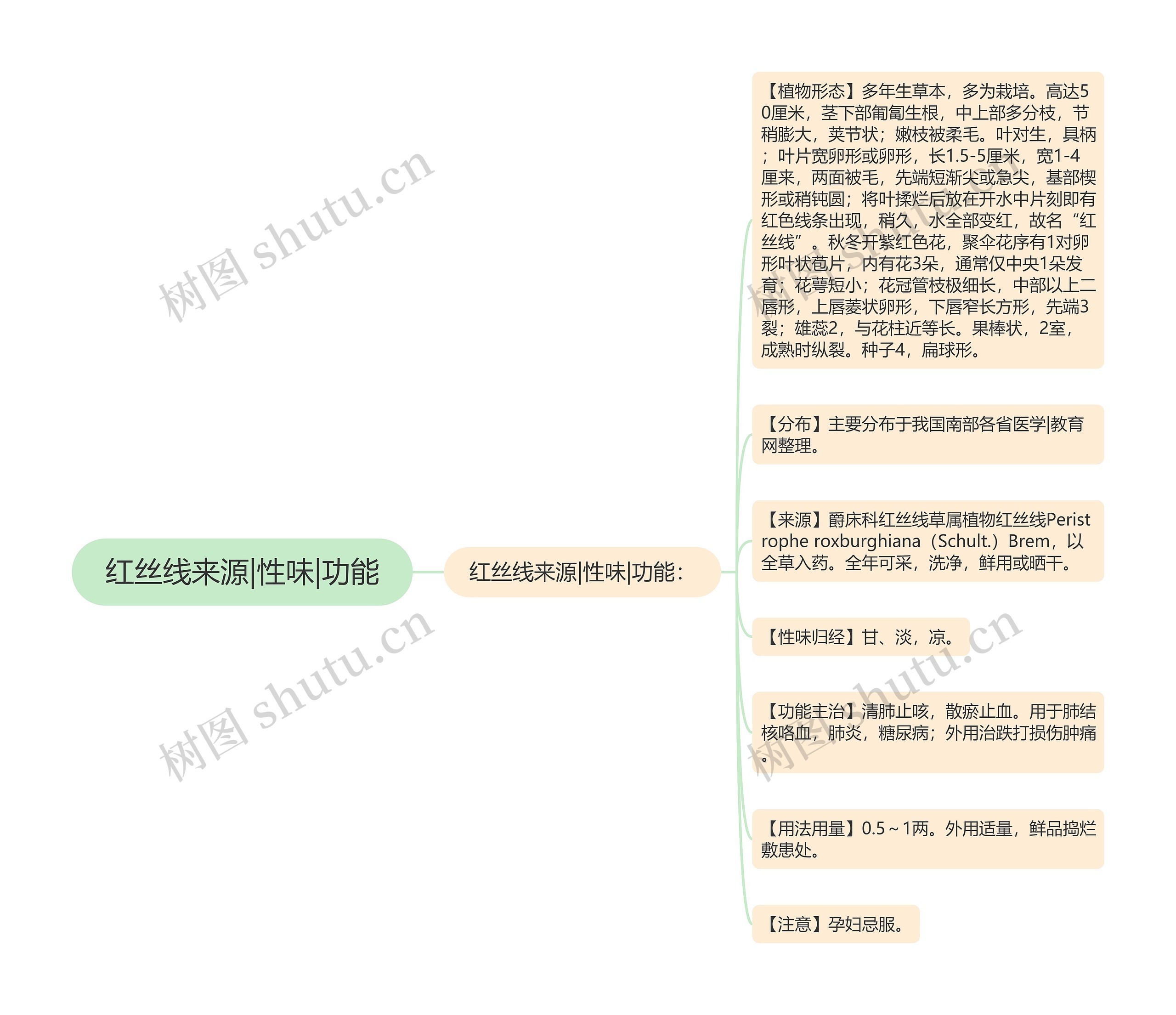 红丝线来源|性味|功能思维导图