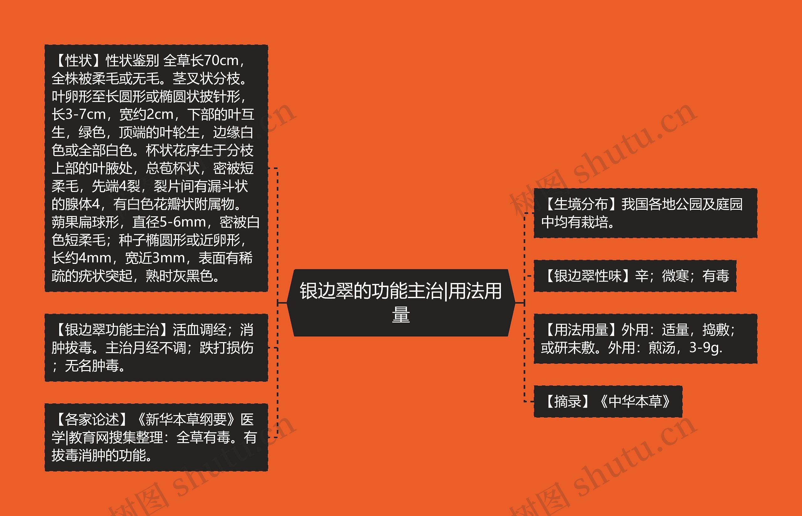 银边翠的功能主治|用法用量 银边翠的功能主治|用法用量