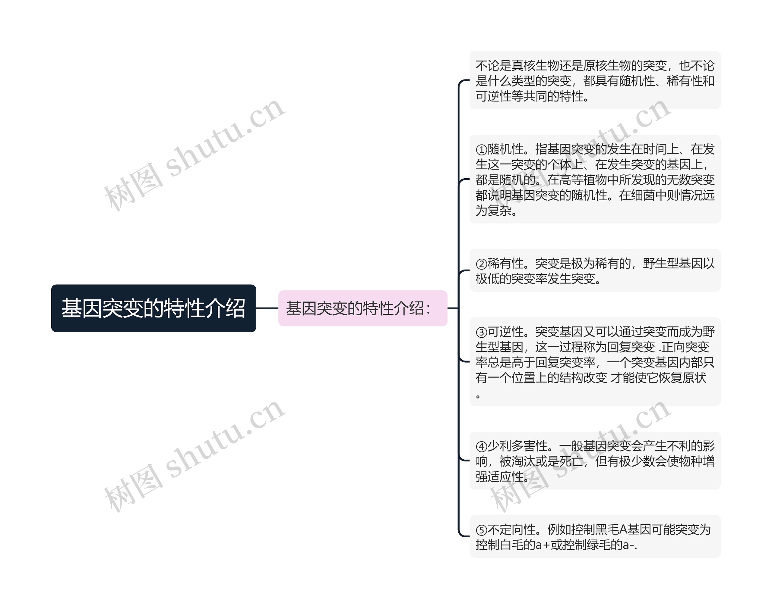 基因突变的特性介绍