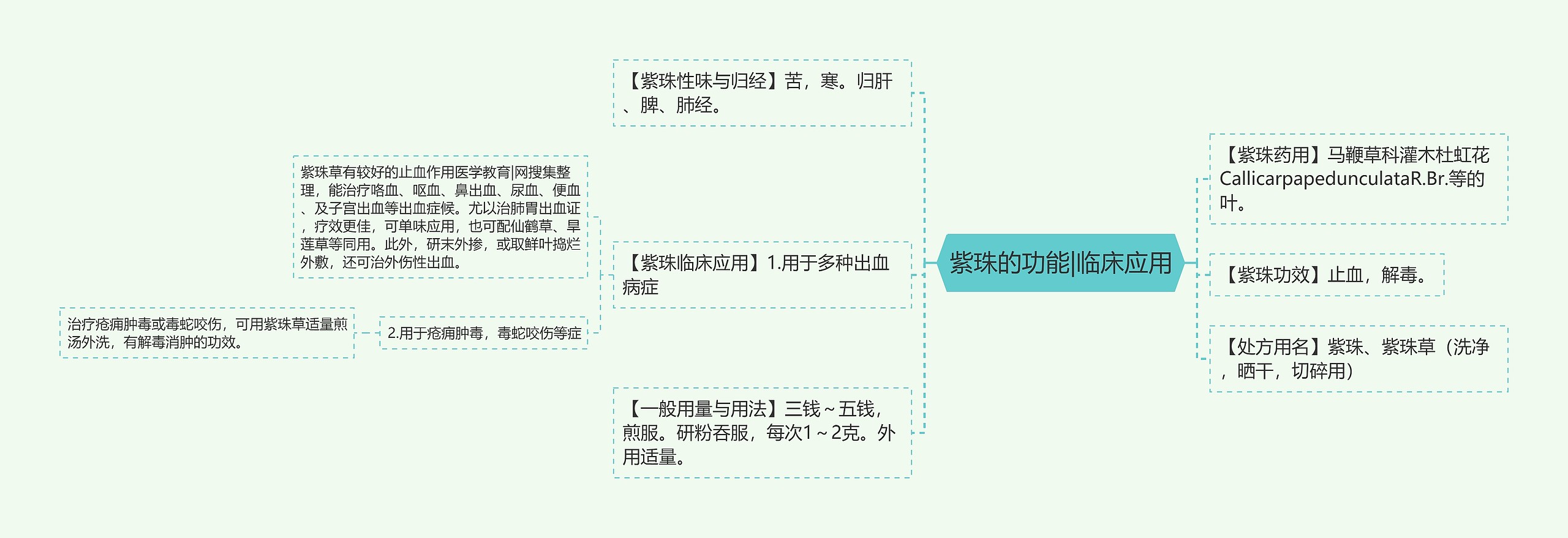 紫珠的功能|临床应用