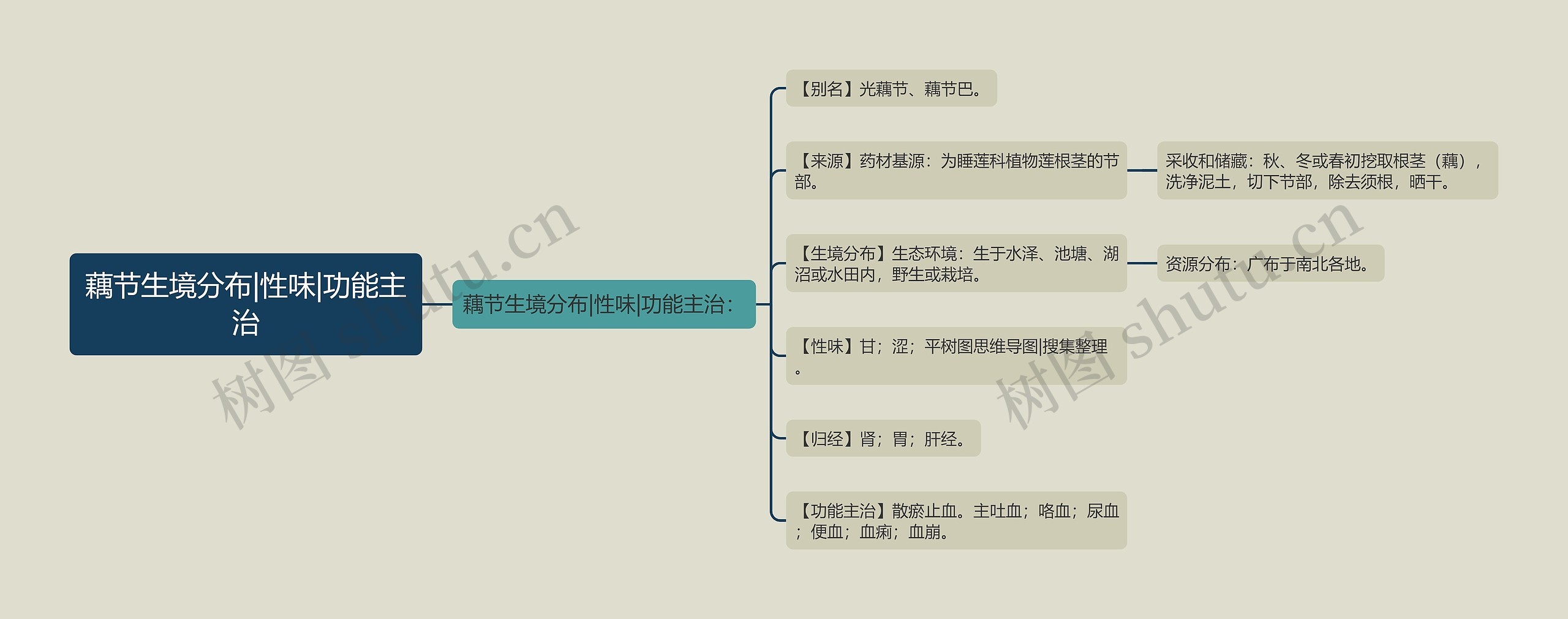 藕节生境分布|性味|功能主治
