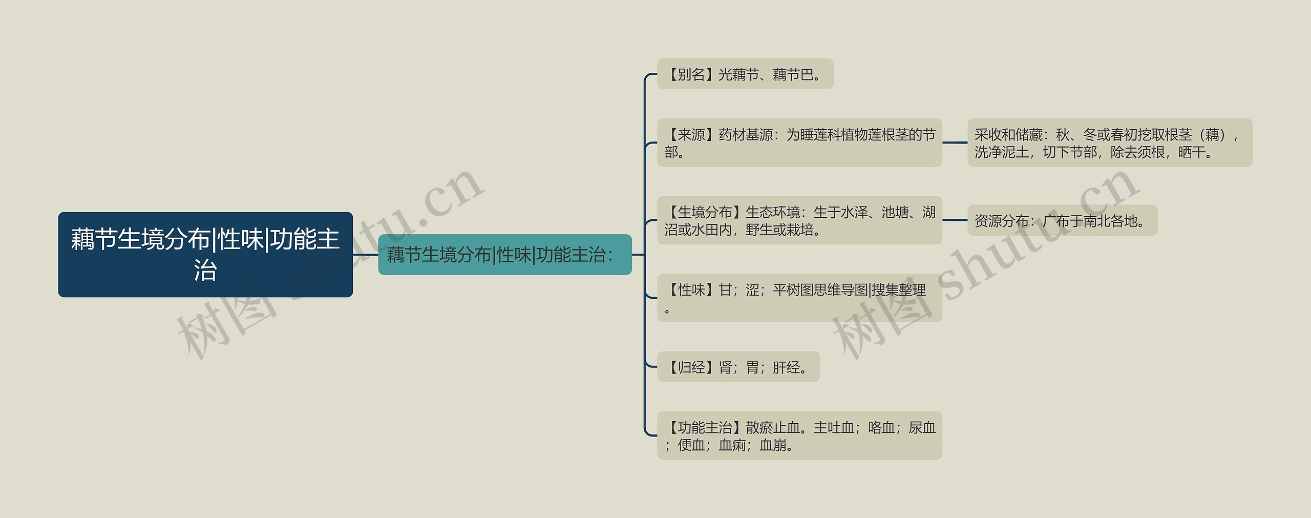 藕节生境分布|性味|功能主治思维导图