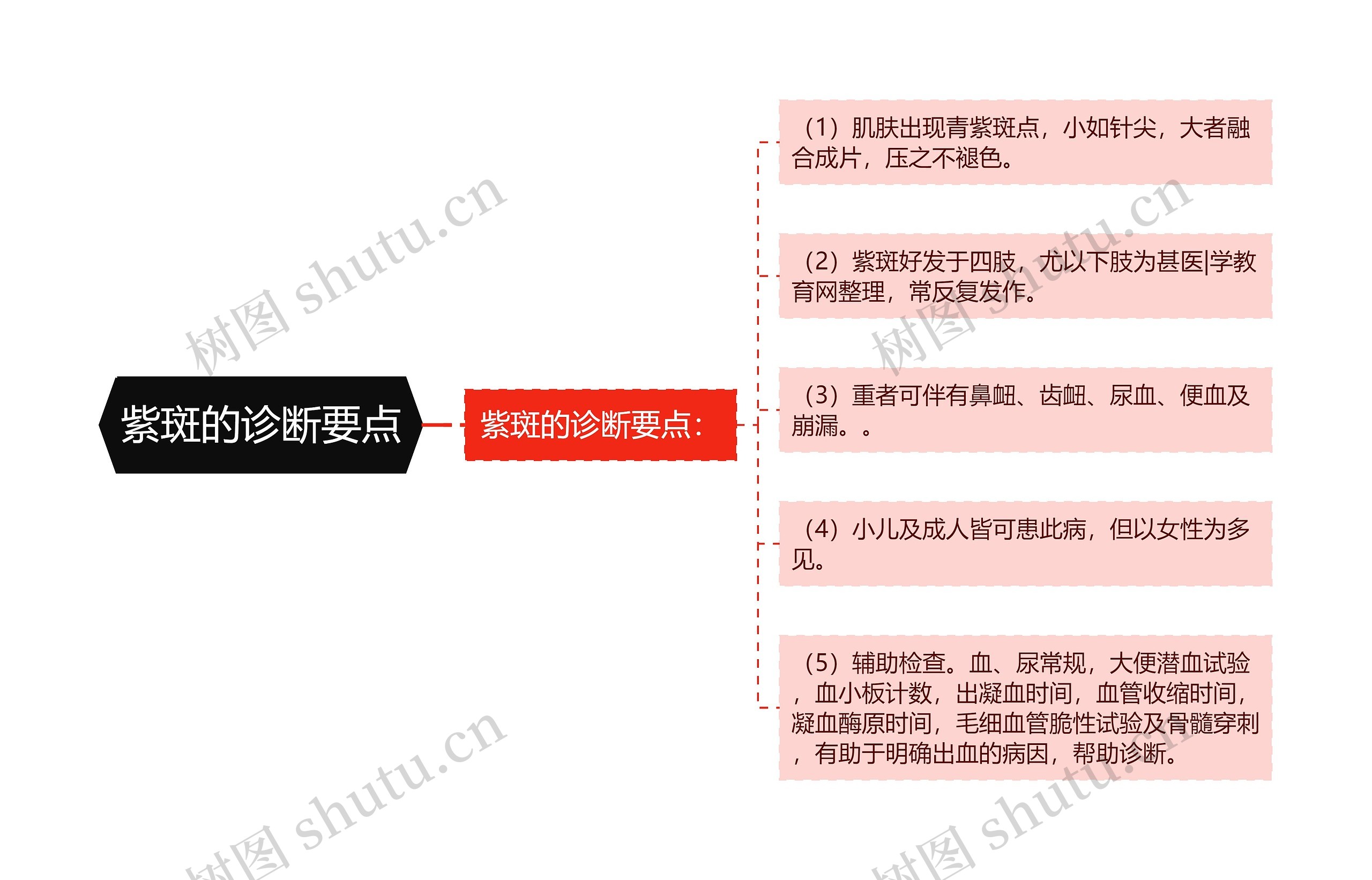 紫斑的诊断要点