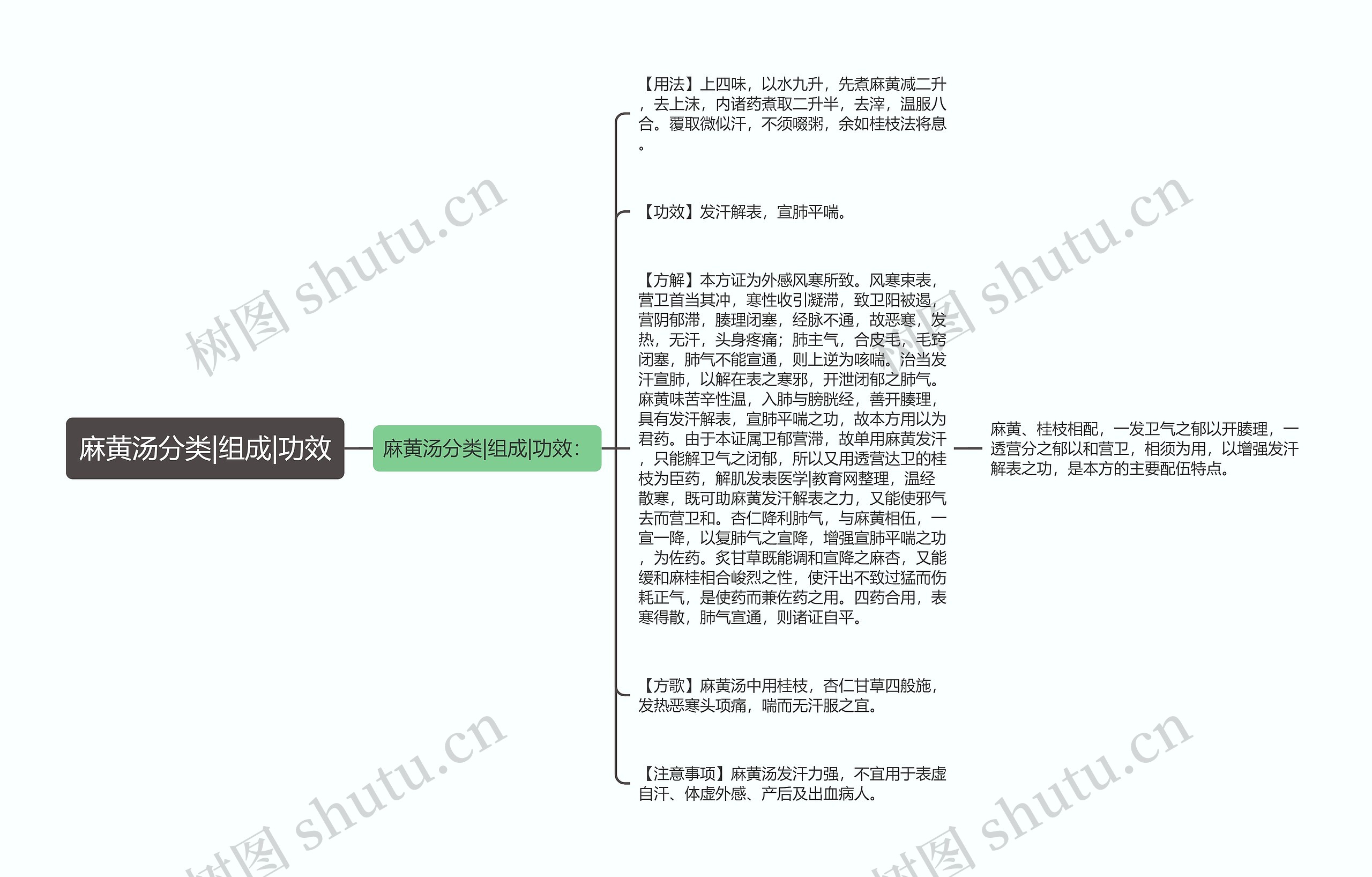 麻黄汤分类|组成|功效思维导图