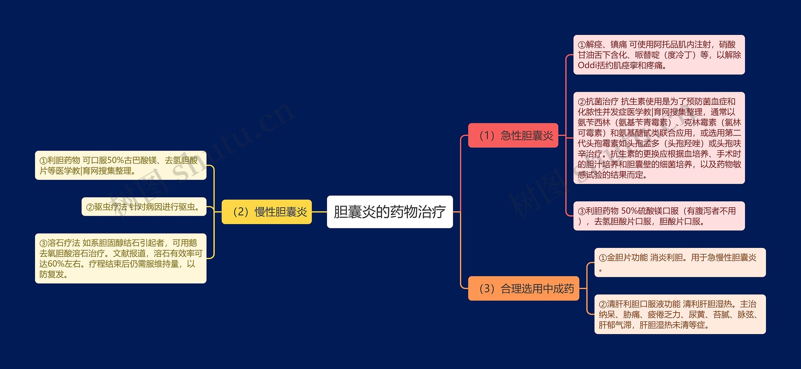 胆囊炎的药物治疗思维导图