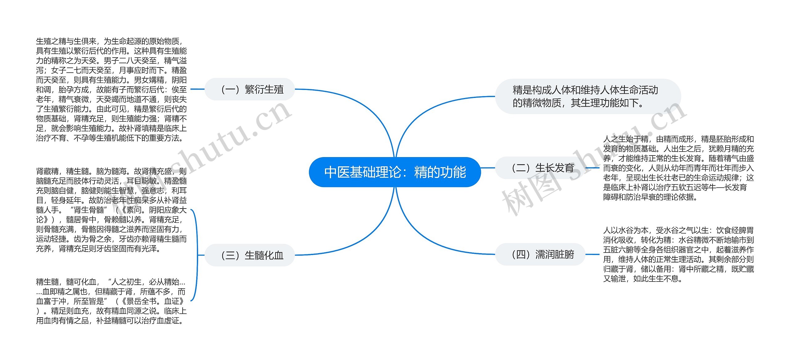 中医基础理论：精的功能